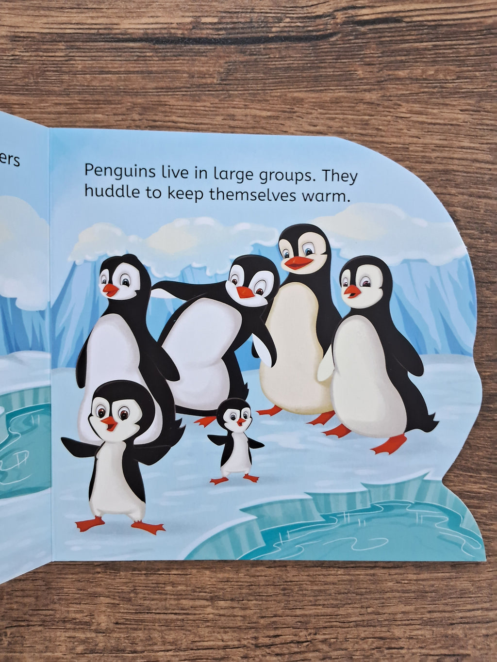Penguin - Shaped Board Book