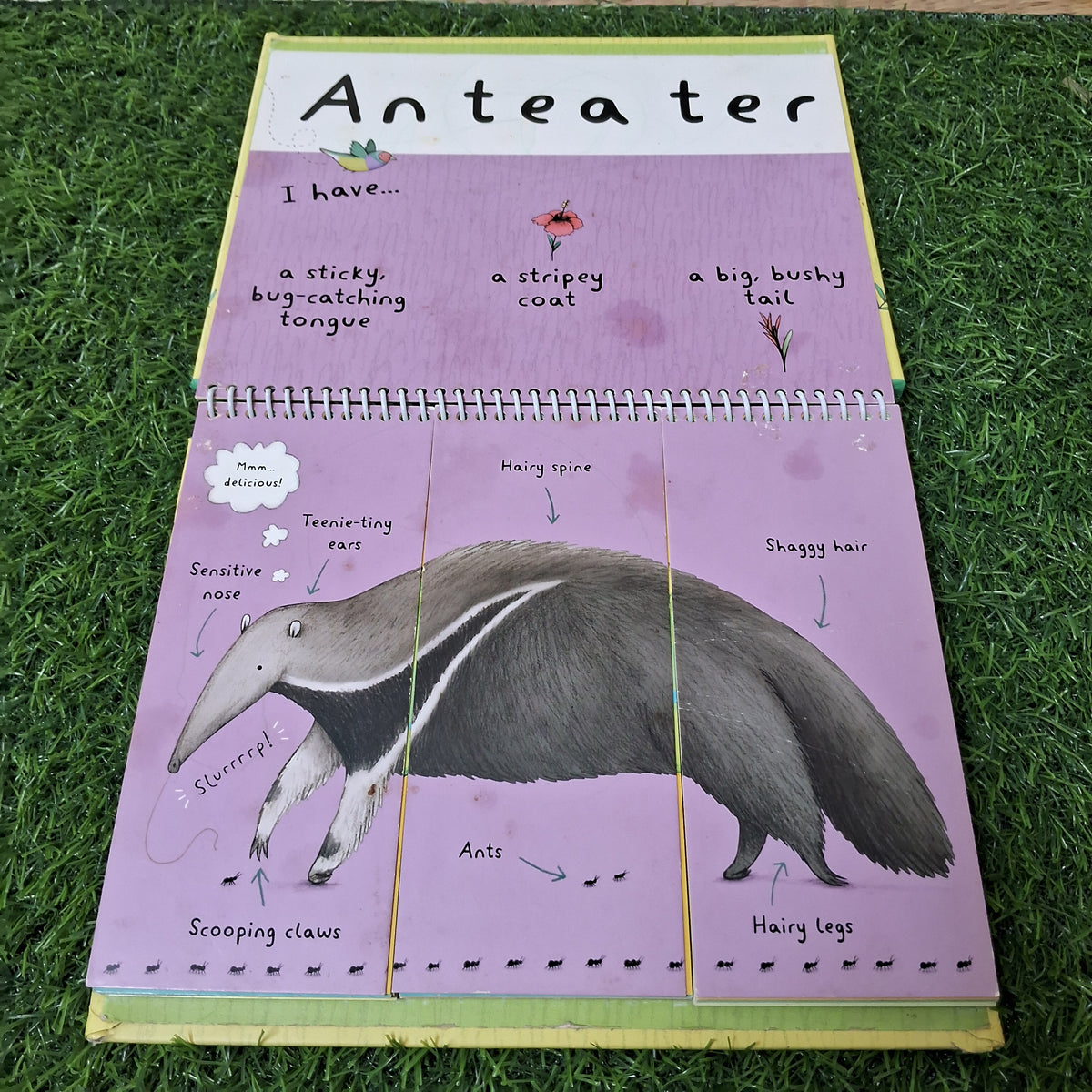 Wild animals -  Good Condition Hardcover
