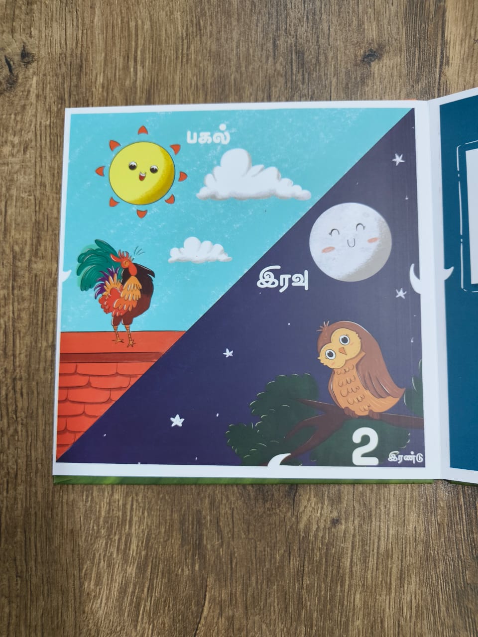 எண்ணும் இயற்கையும் - Tamil Board Book