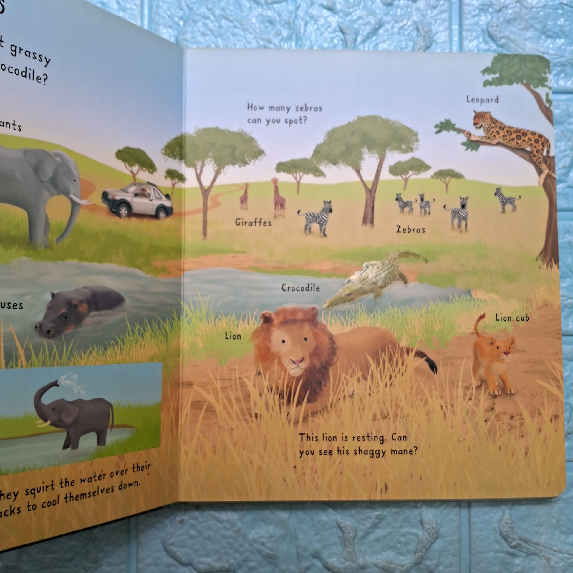 Usborne First Picture Animals - Big Board Book - Excellent Condition