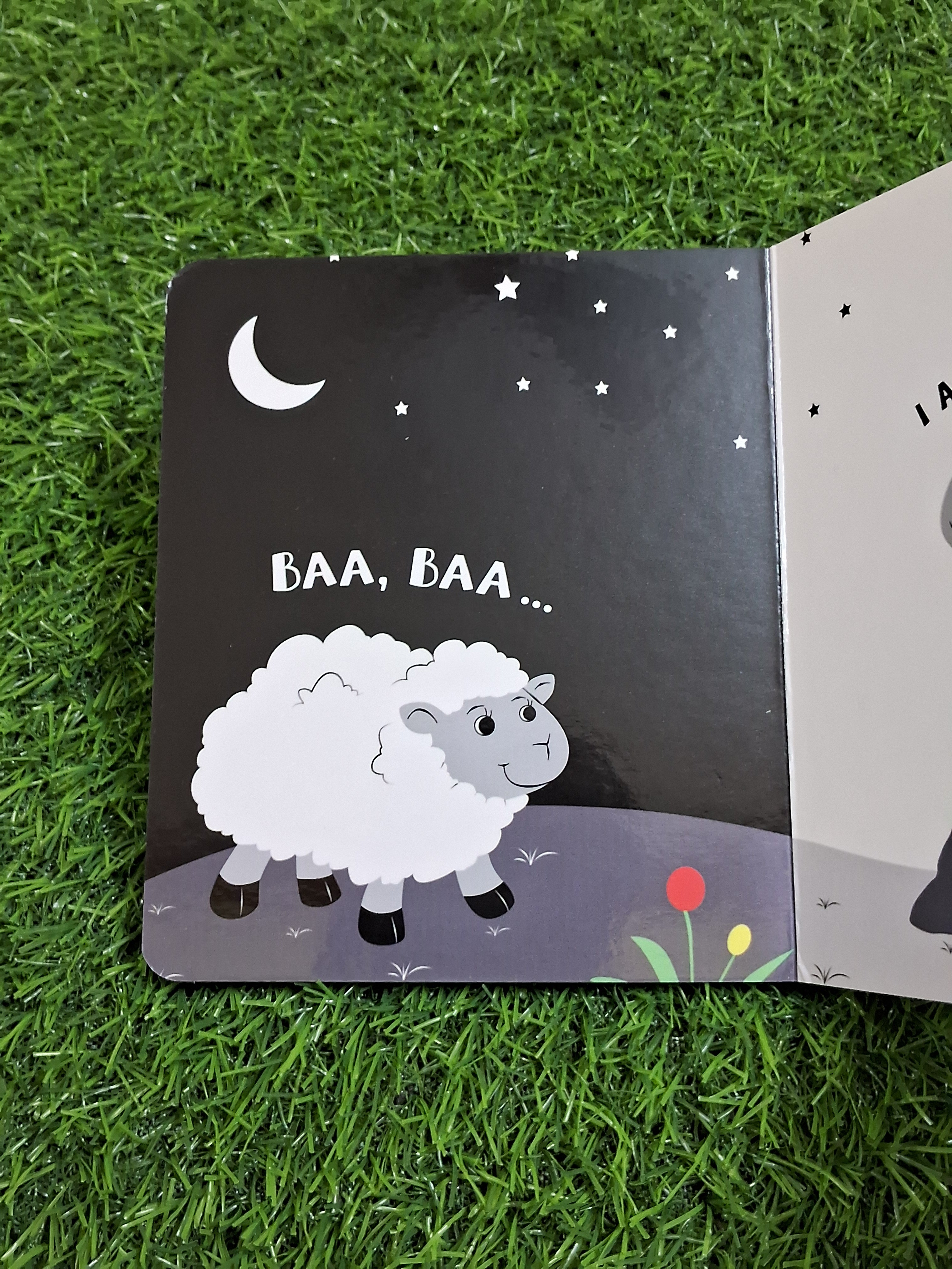 Animals High Contrast Board Book