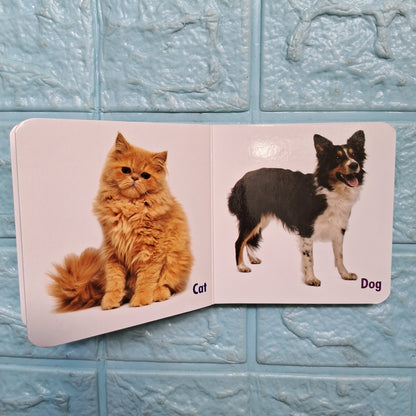 My Little Book of Domestic animals.