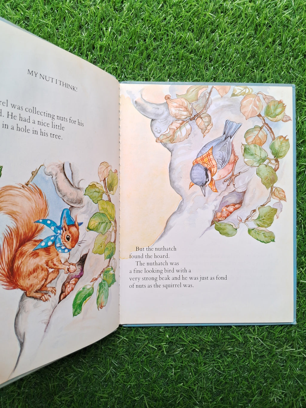 My Nut I think & pins and needles -  Good Condition Hardcover