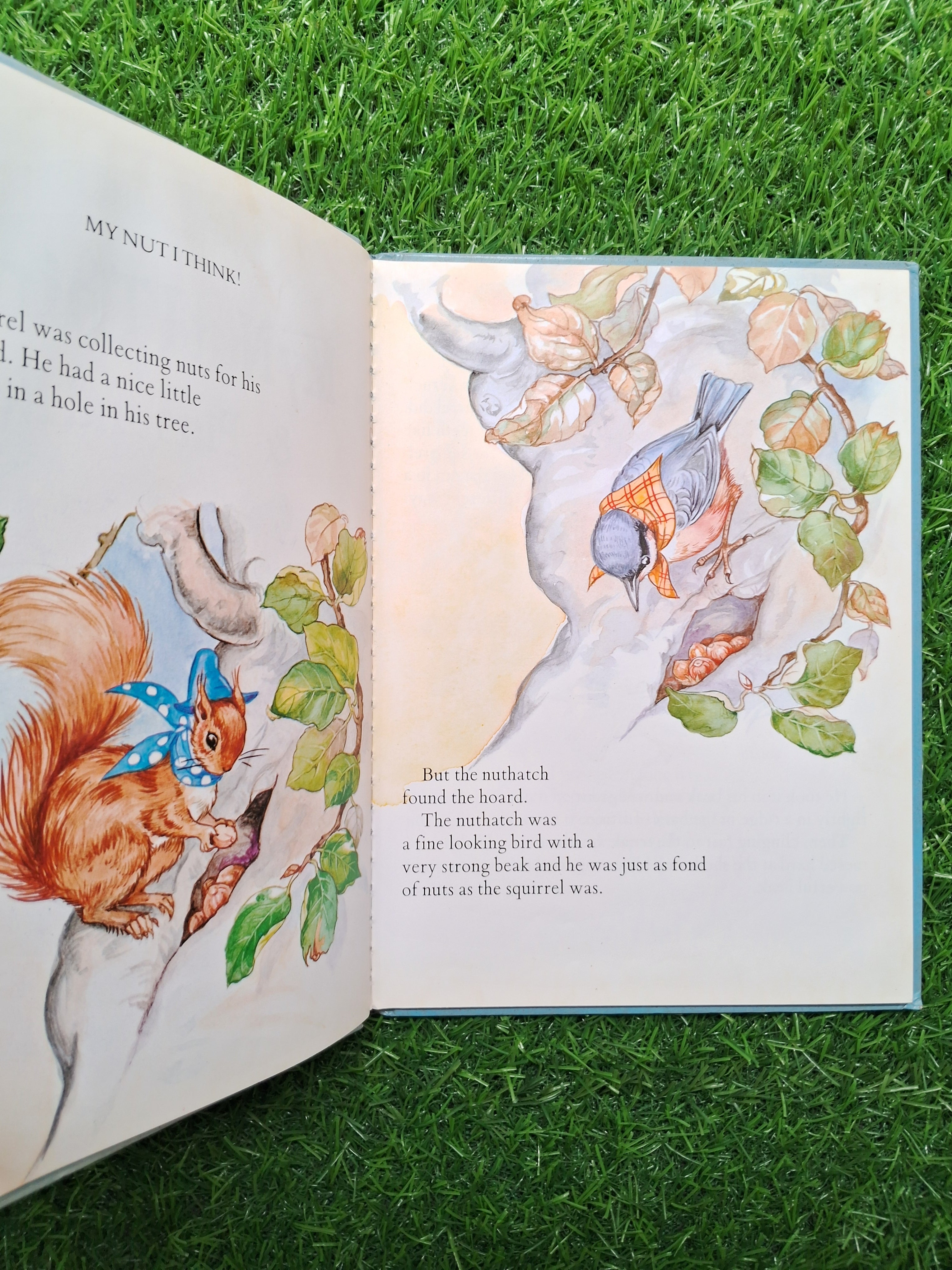 My Nut I think & pins and needles -  Good Condition Hardcover