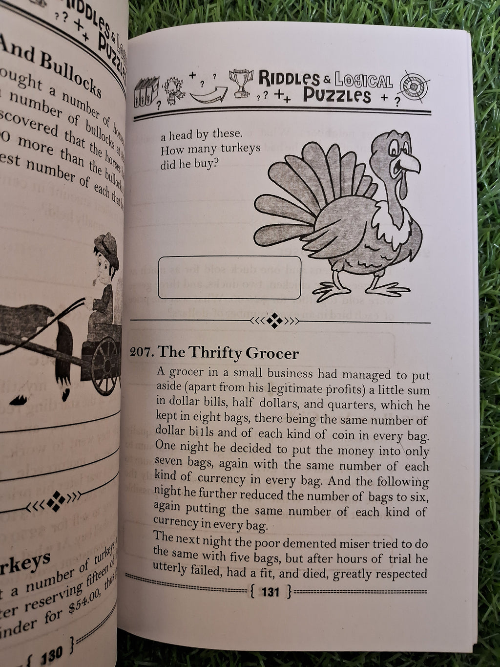 Riddles & logical puzzles - Challenging Books