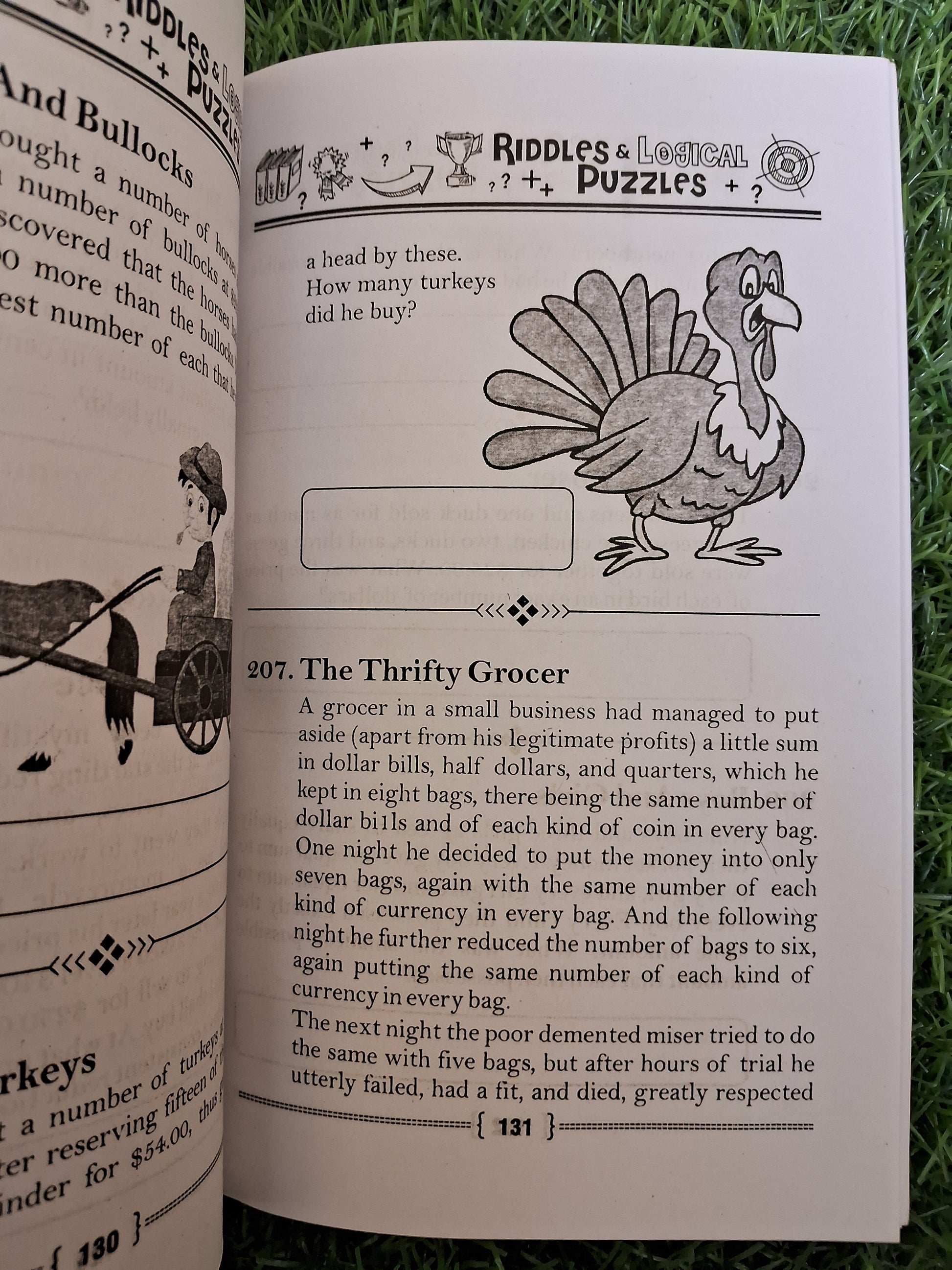 Riddles & logical puzzles - Challenging Books