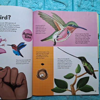 How Big ? Animals