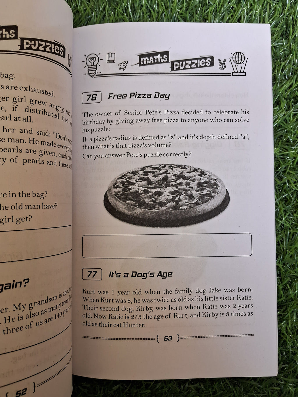 Maths puzzles - Challenging Books