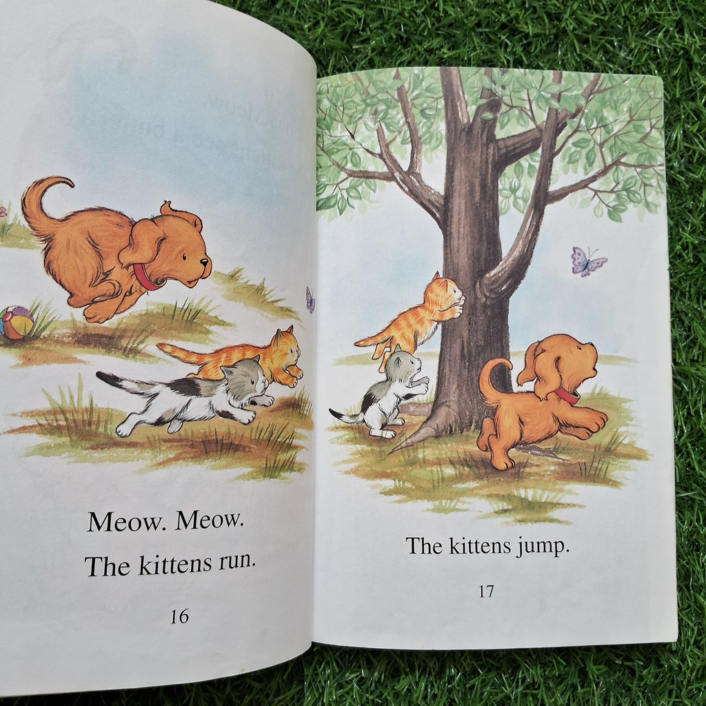 Biscuit want to play - Average Condition Paperback