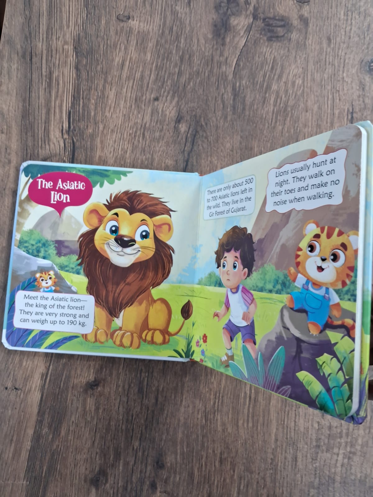 Incredible India - Toddler Board Book Combo