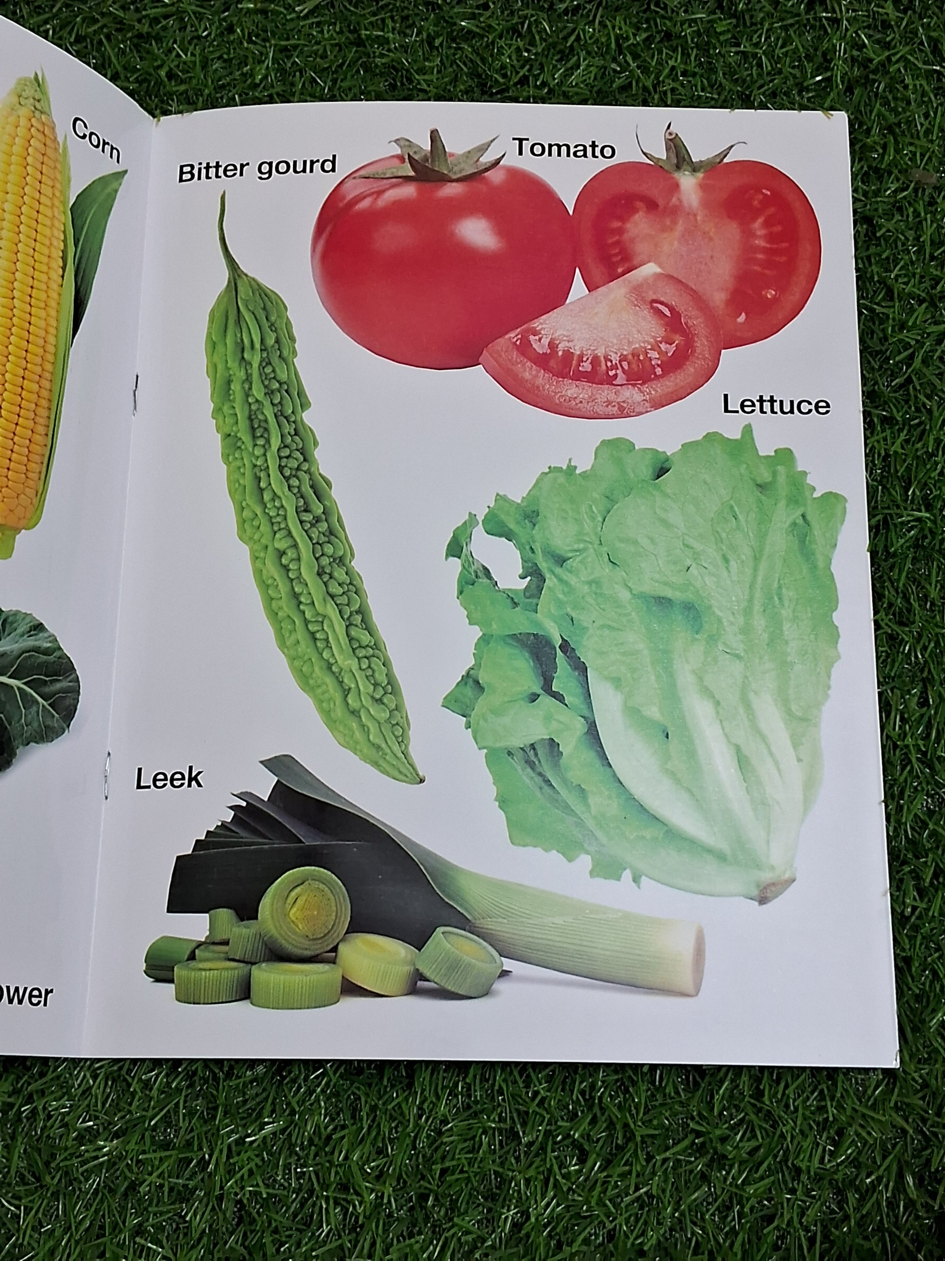 Fruits & Vegetables - Large Paperback- Real Images