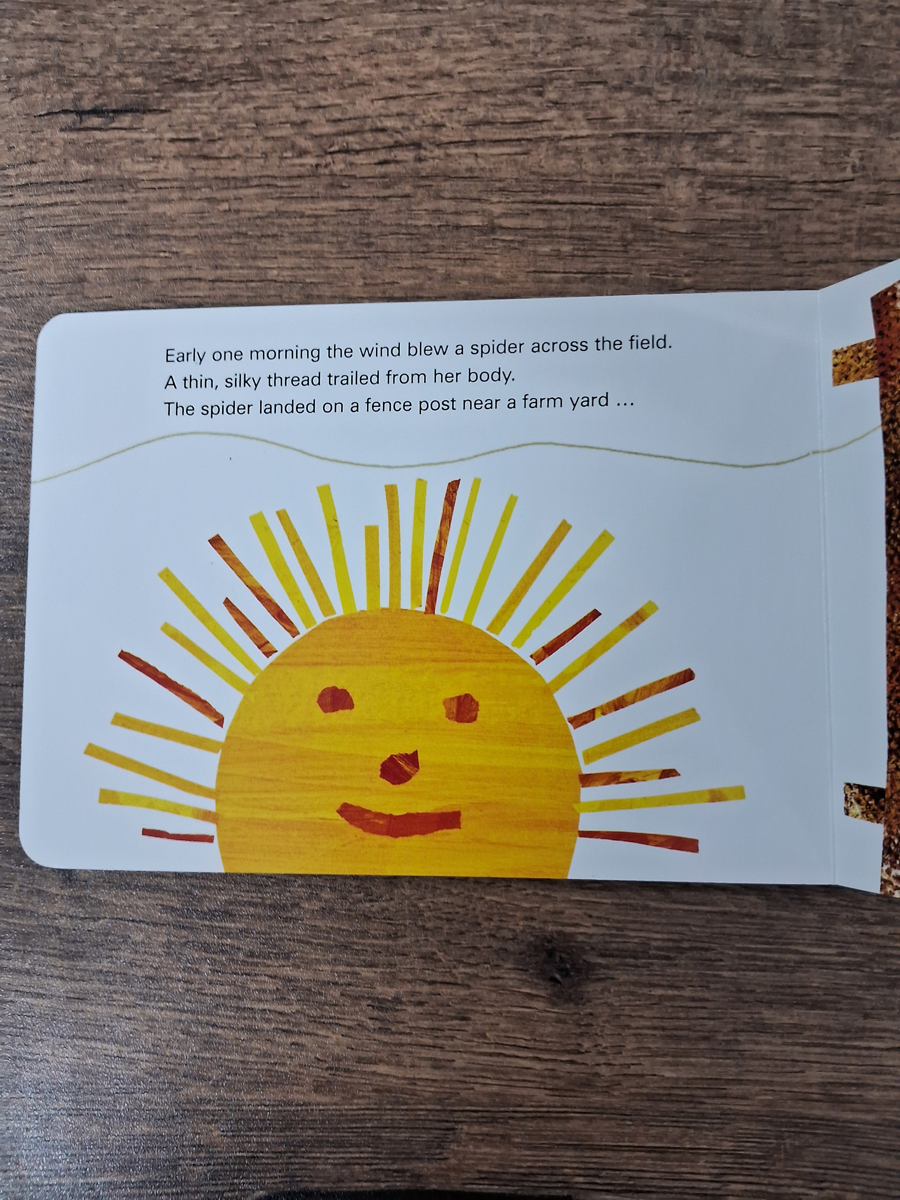 THE VERY BUSY SPIDER - Board Book