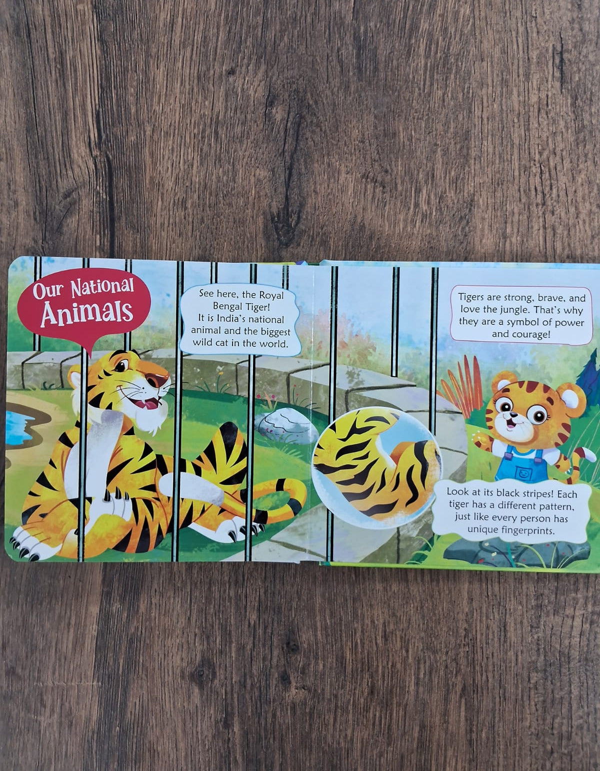 National Symbols of India - Padded Board Book