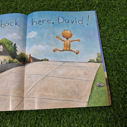 No David - Very Good Condition Paperback