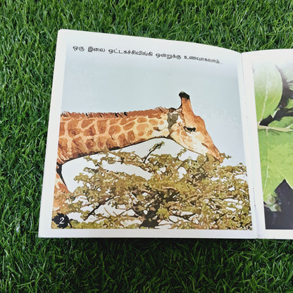 Is all about leaves - Average Condition Paperback