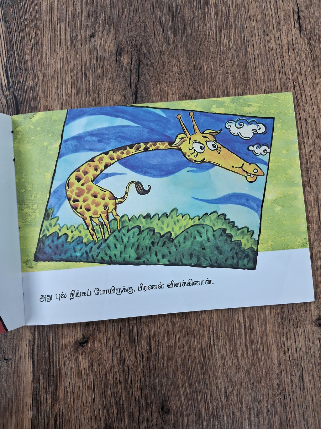 PRANAV'S PICTURE - TAMIL Picture Book