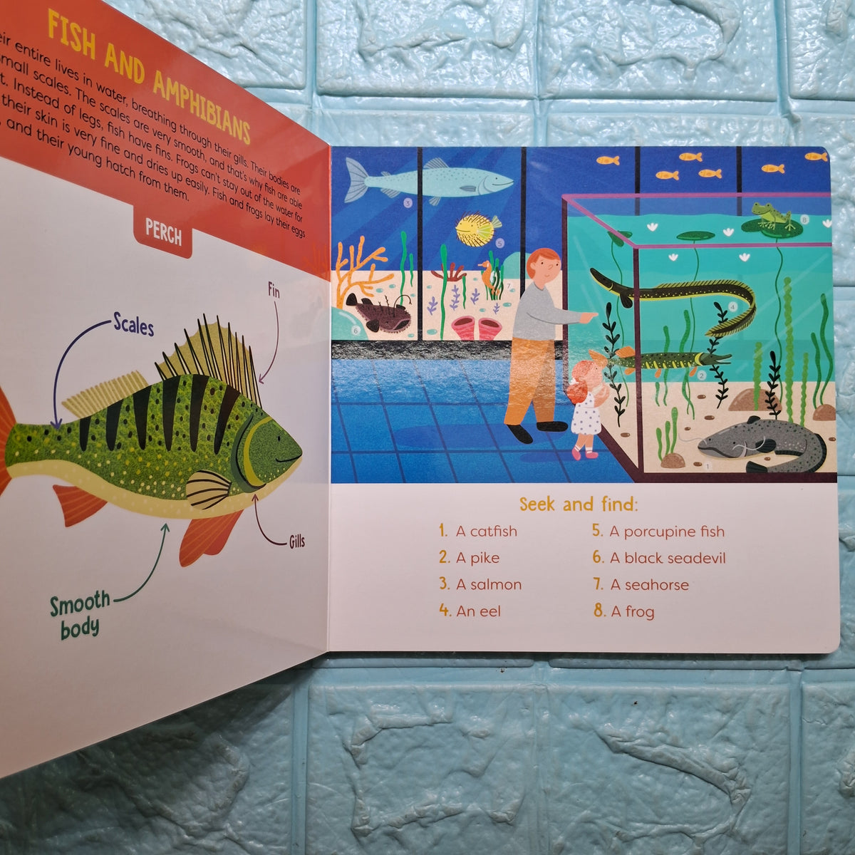 Visual Dictionary: Animals - Clearance