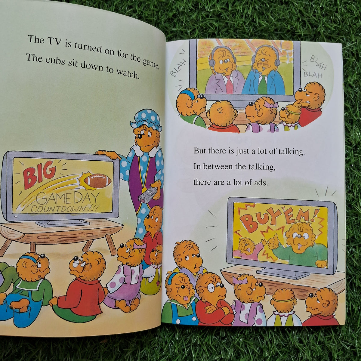 The berenstain Bears Play football - Very Good Condition Paperback