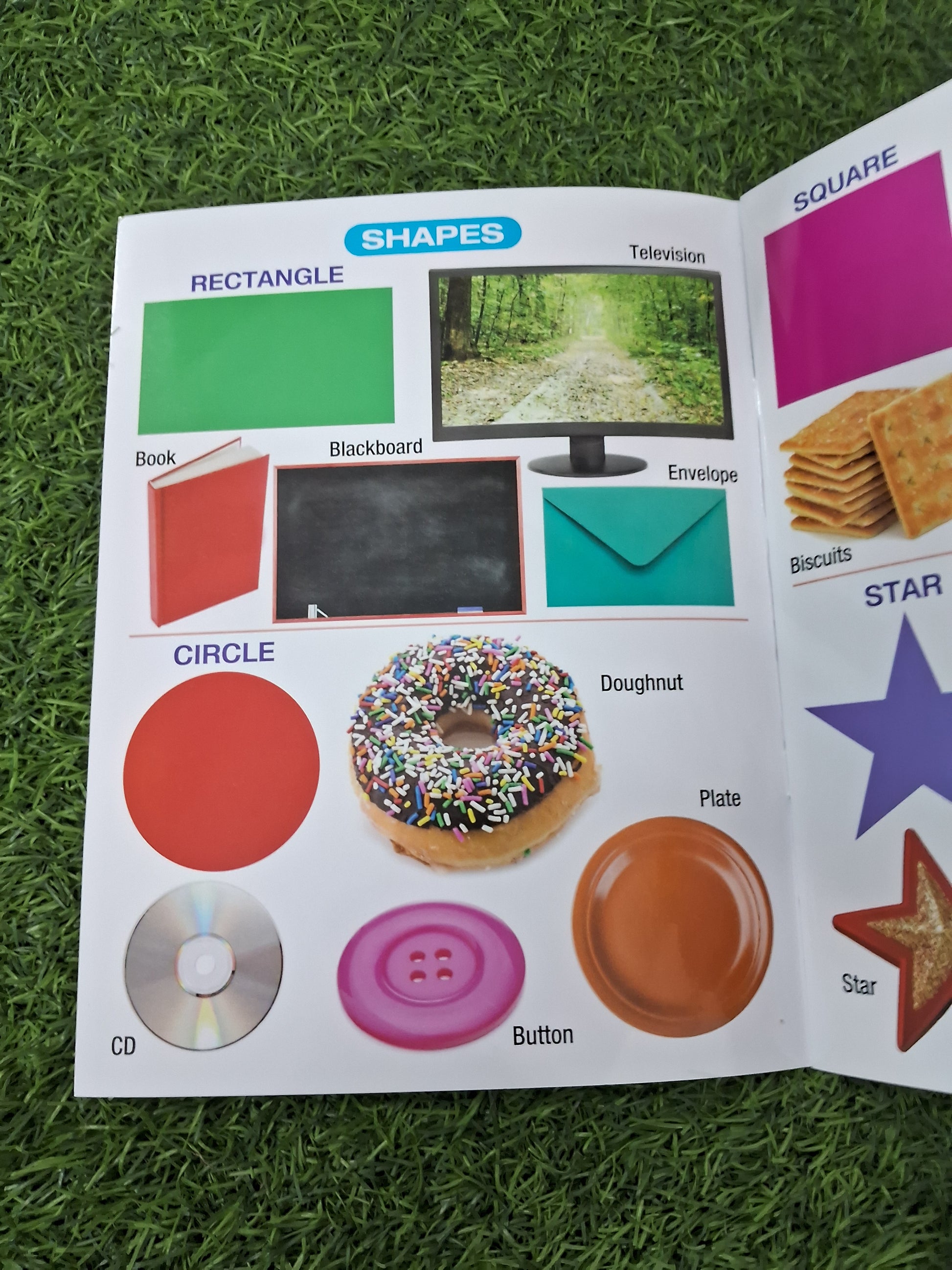 MY FIRST BOOK OF SHAPES,COLORS & OPPOSITES - Large Paperback- TearProof