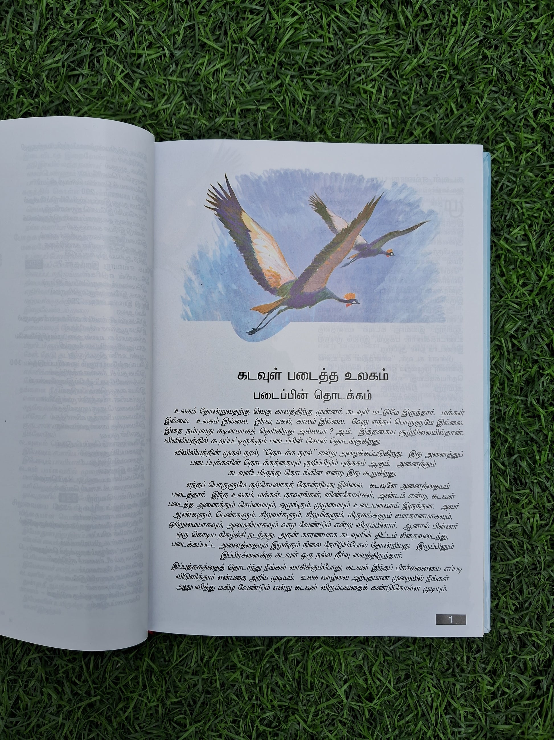 இளைஞர் விவிலியம்