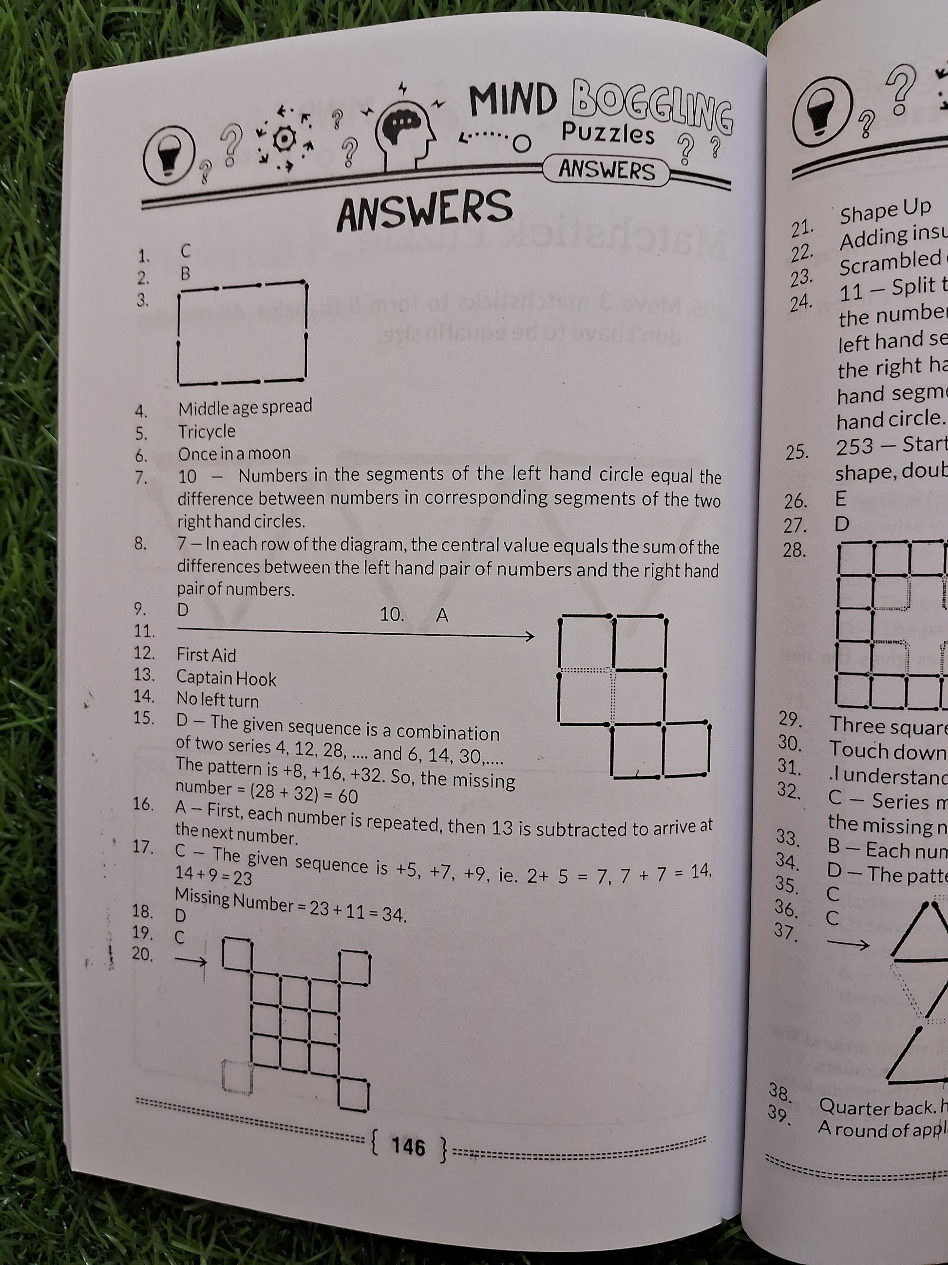 Mind Boggling puzzles - Challenging Books