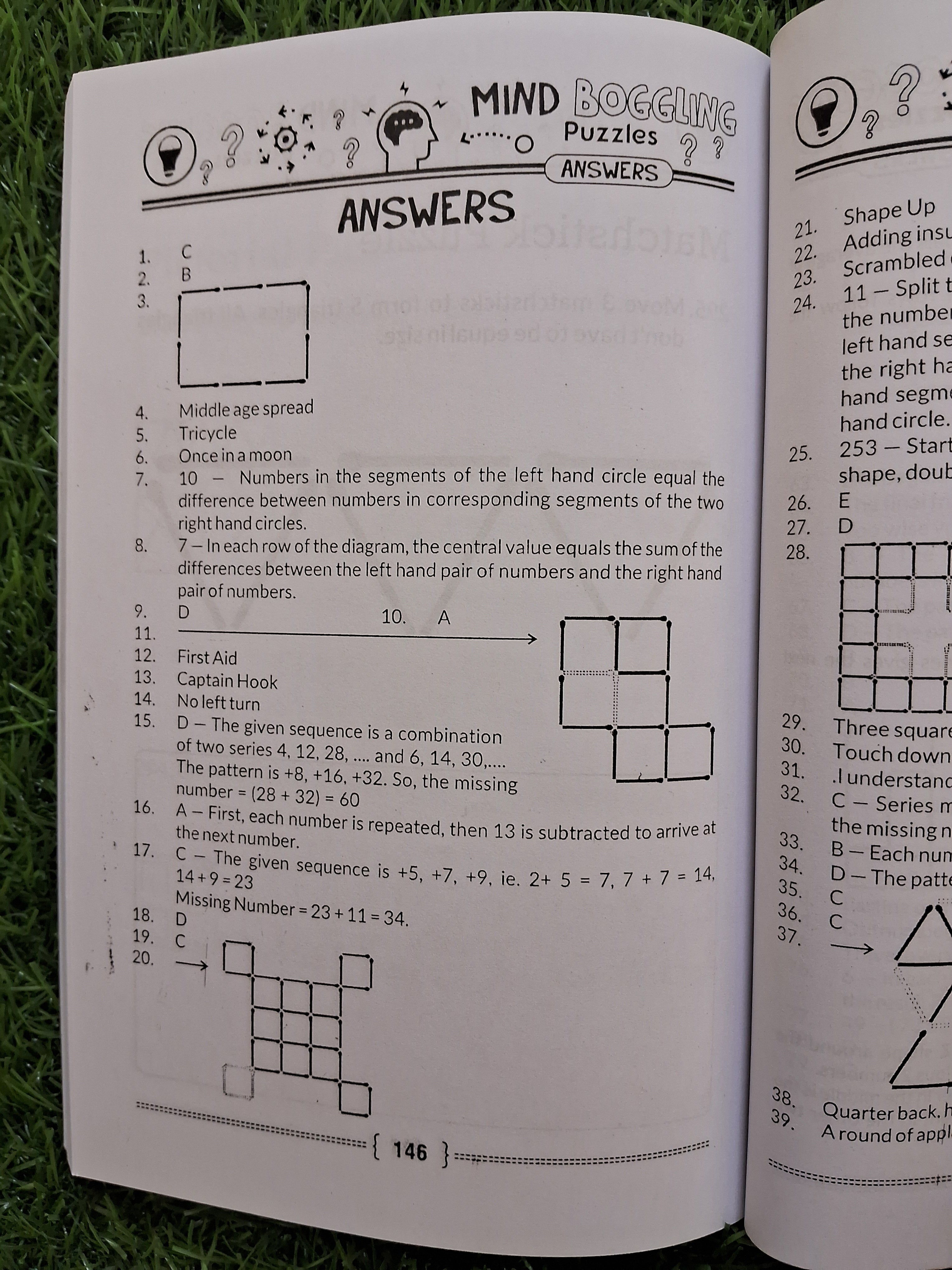 Mind Boggling puzzles - Challenging Books