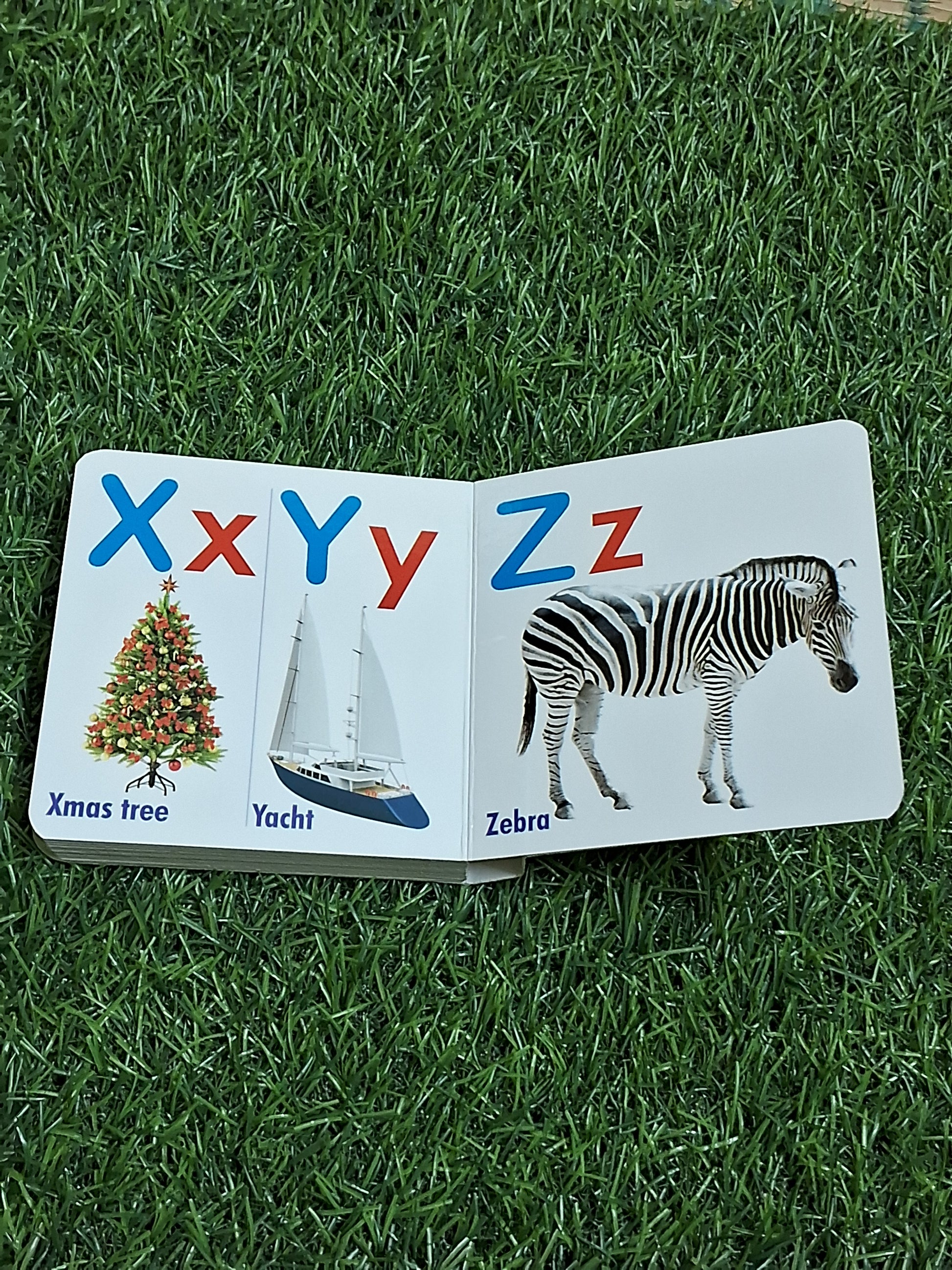Alphabet - My Little Board Book