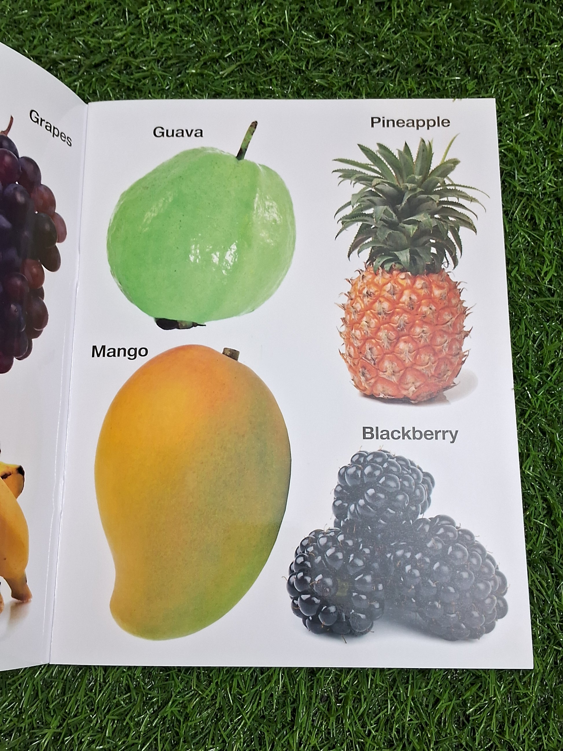 Fruits & Vegetables - Large Paperback- Real Images