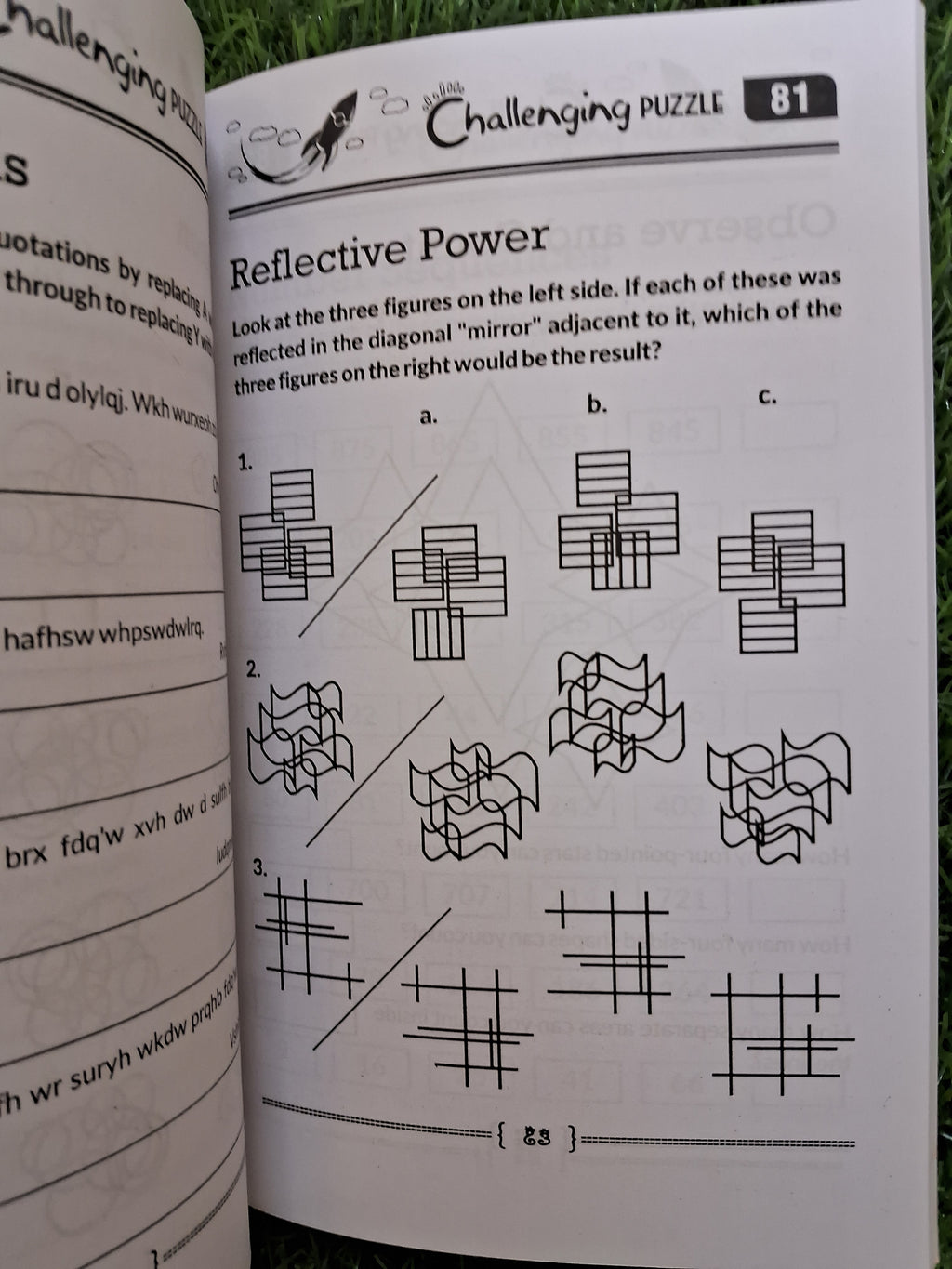 Challenging puzzles - Challenging Books