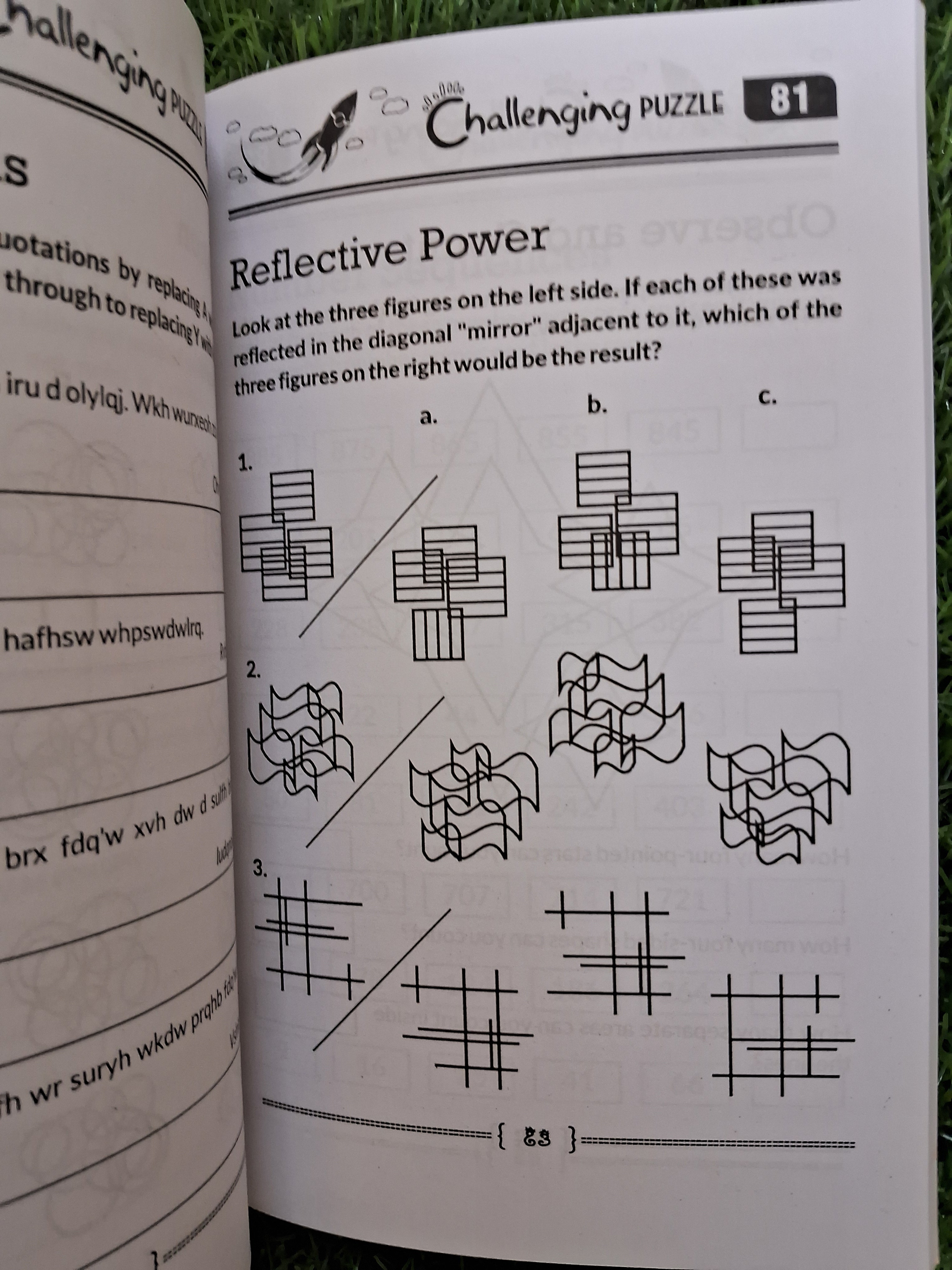Challenging puzzles - Challenging Books