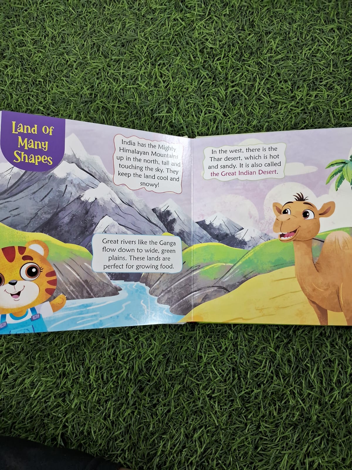 India the Mini World - Padded Board Book