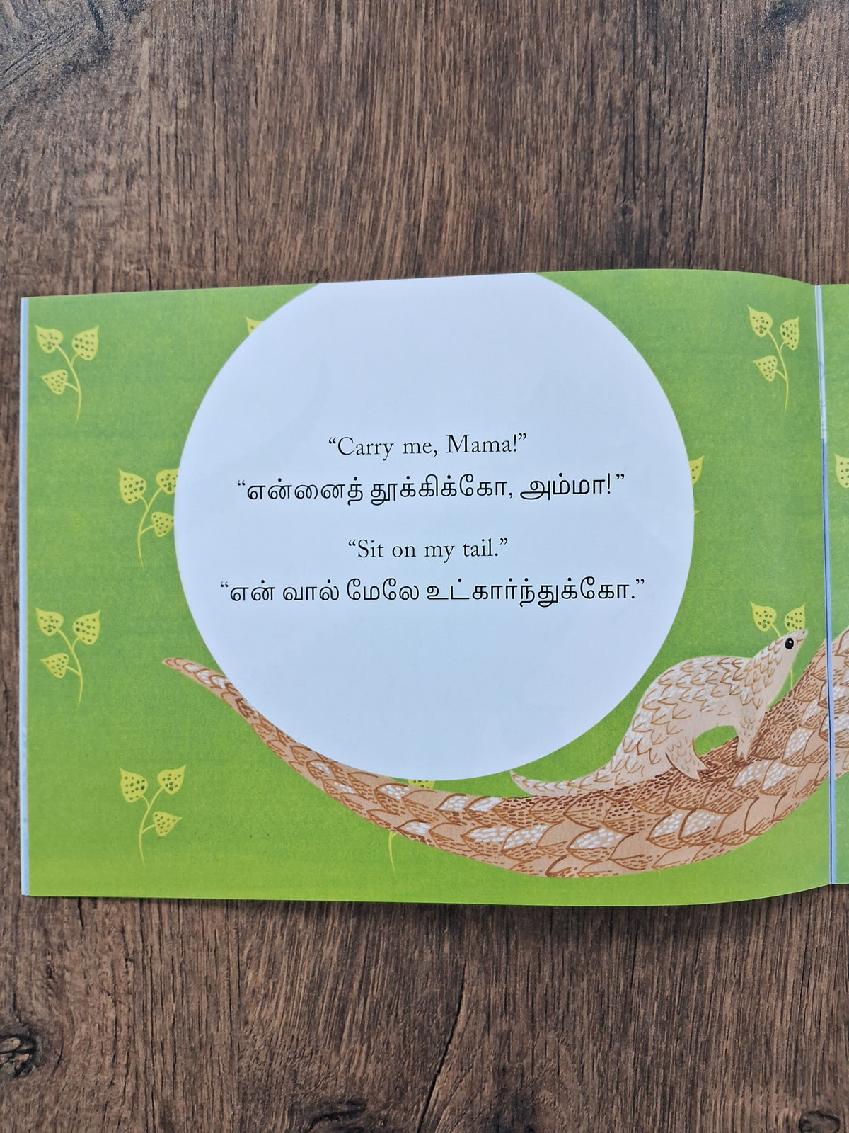 CARRY ME, MAMA! - English Tamil Bilingual Picture Book for Kids