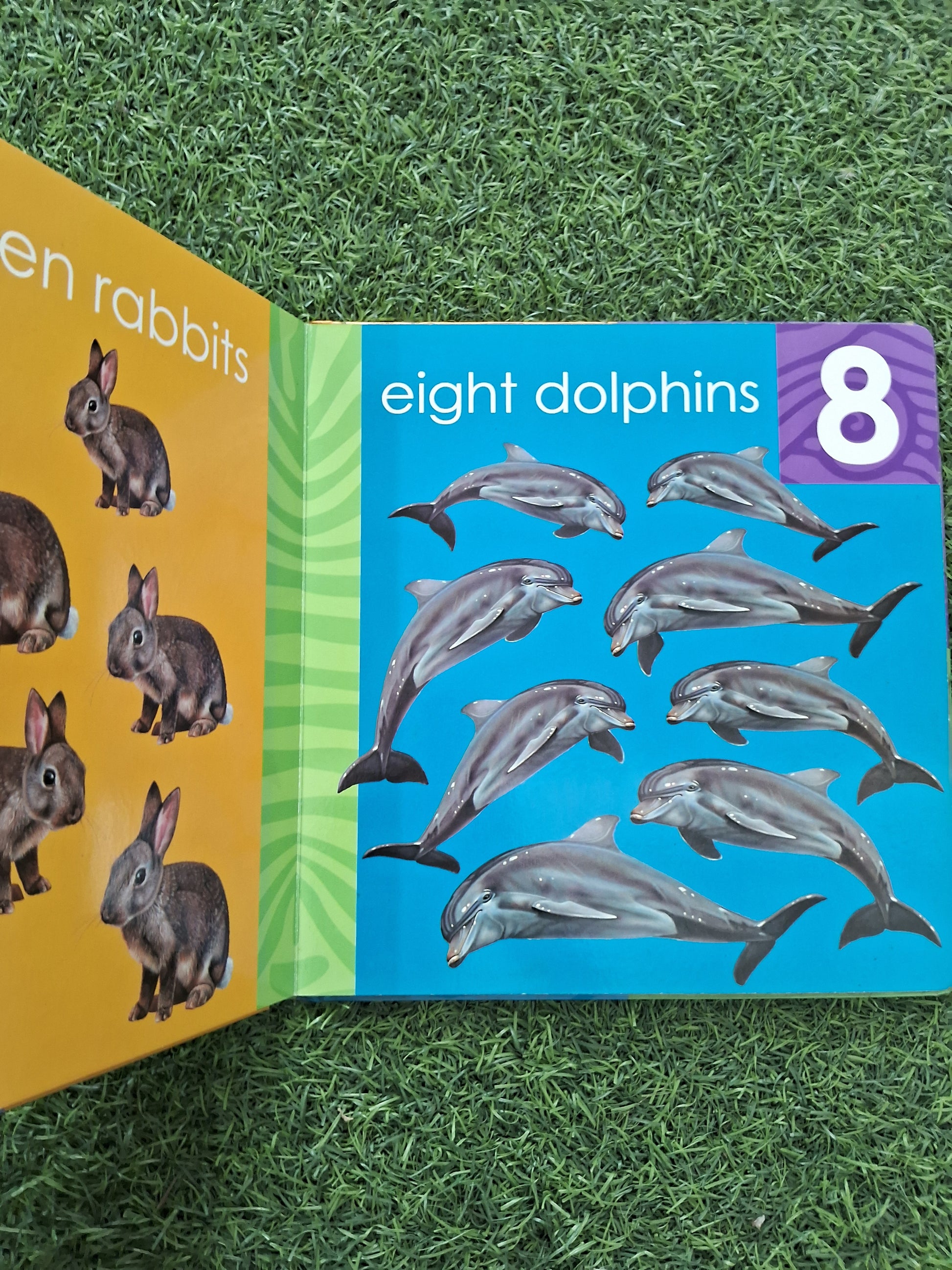 My First Counting Book -  Very Good Condition Board Book