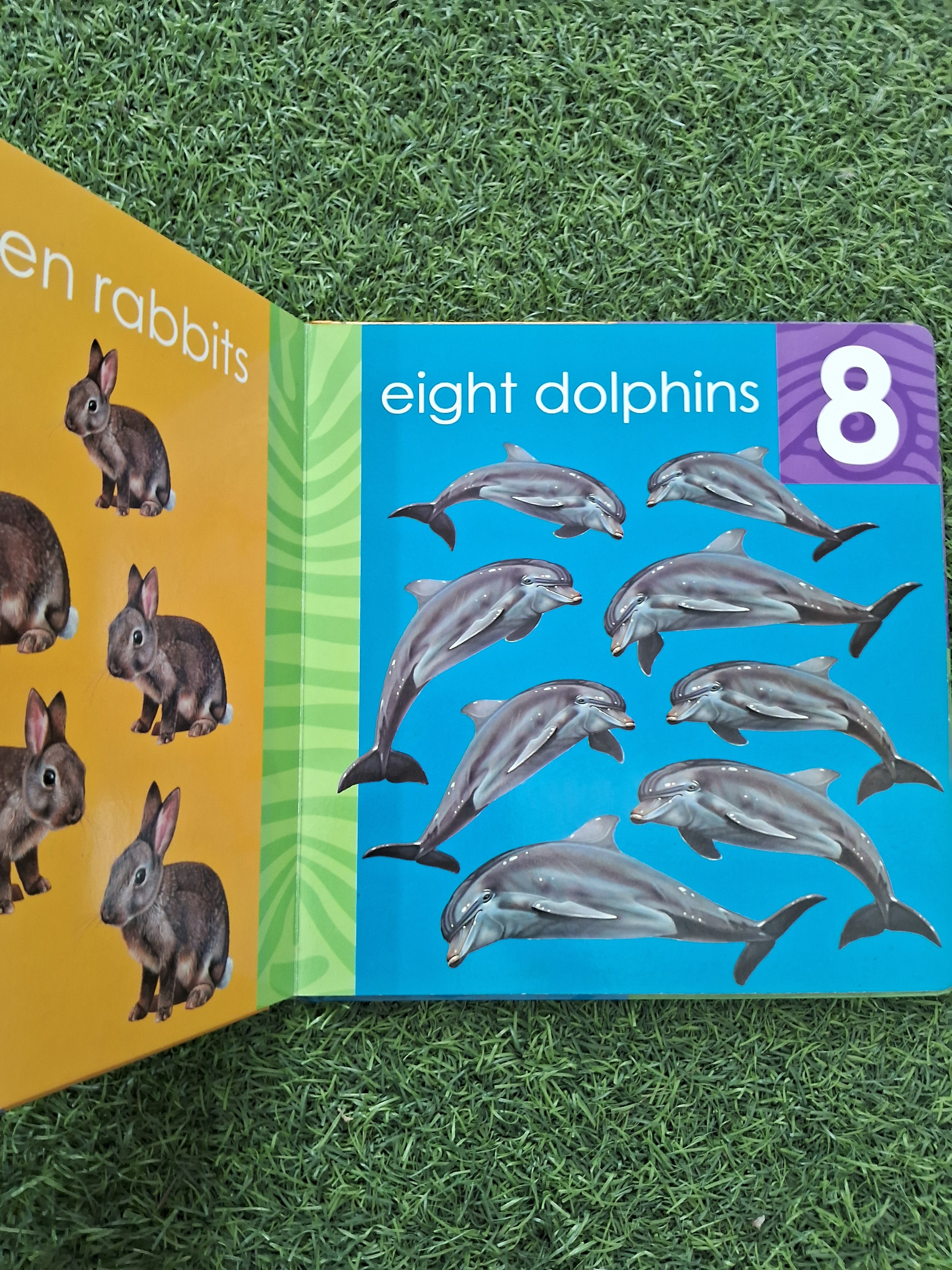 My First Counting Book -  Very Good Condition Board Book