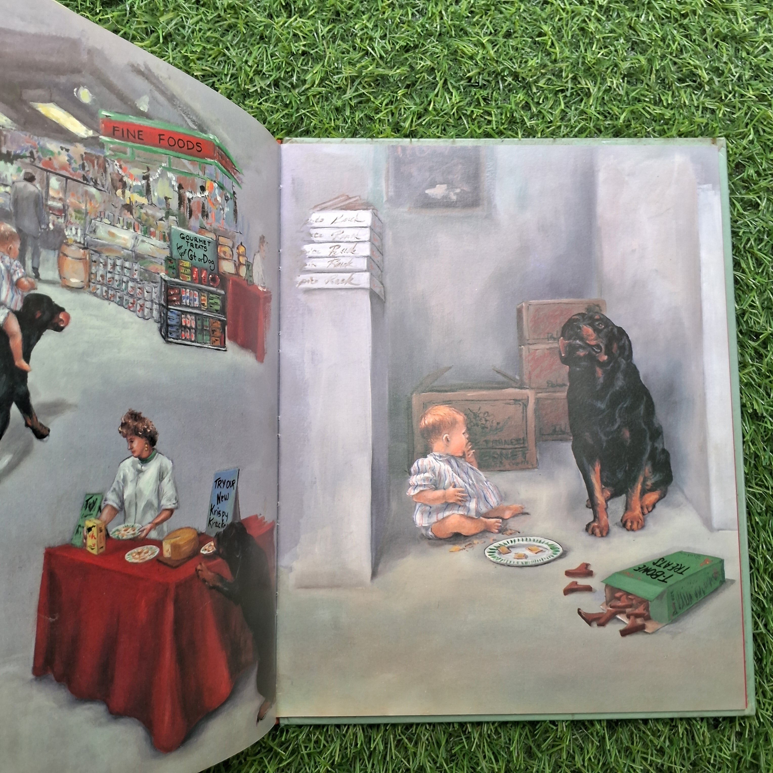 Alexander day carol goes to shopping - Very Good Condition Hardcover