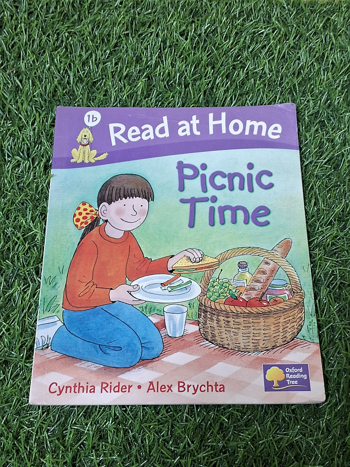 Read at Home - Picnic Time -  Very Good Condition Paperback