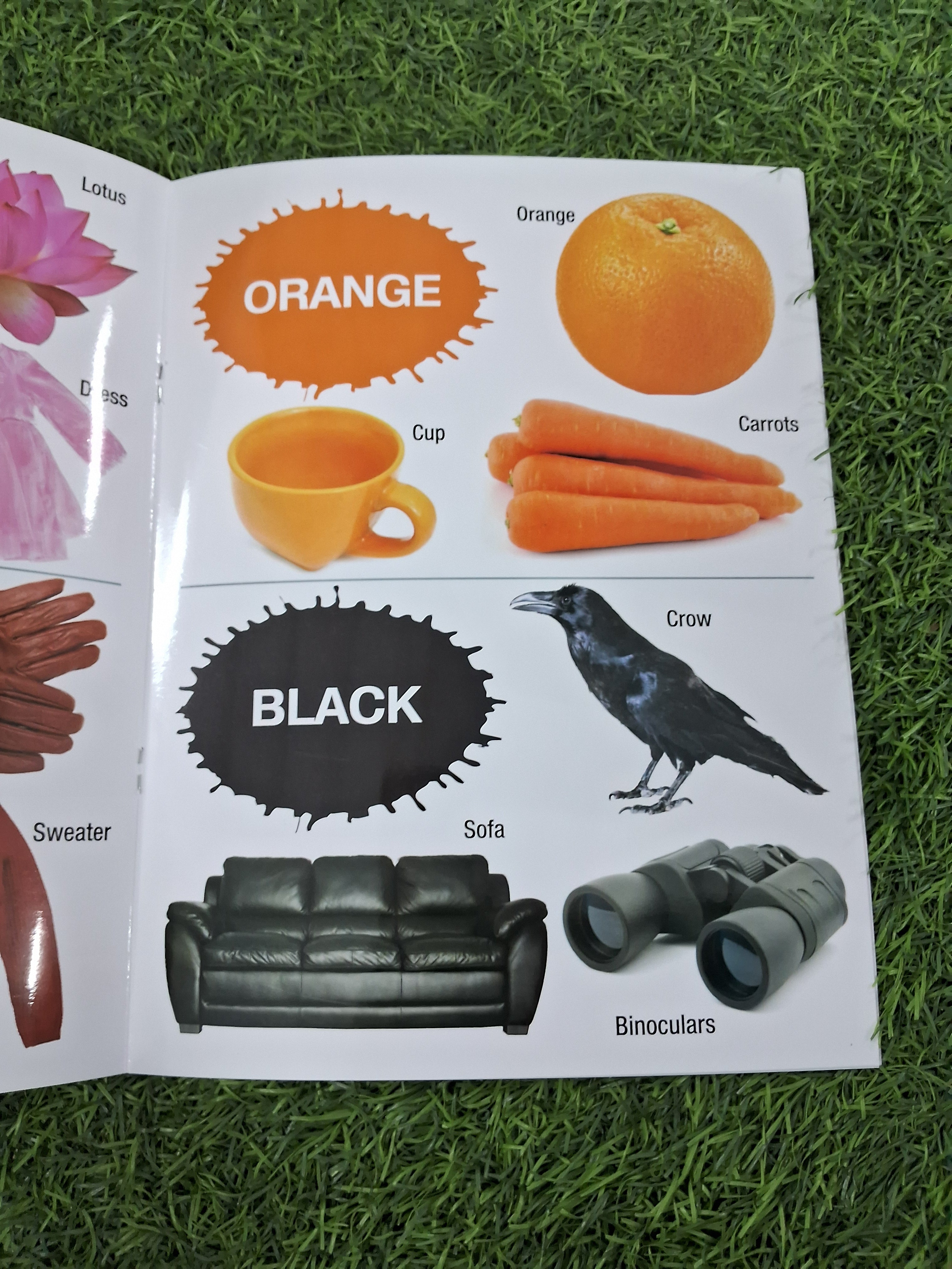 MY FIRST BOOK OF SHAPES,COLORS & OPPOSITES - Large Paperback- TearProof