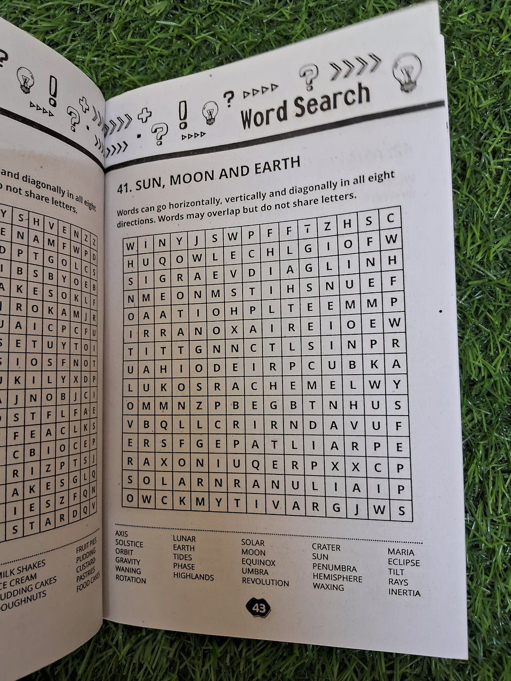 Word search Book