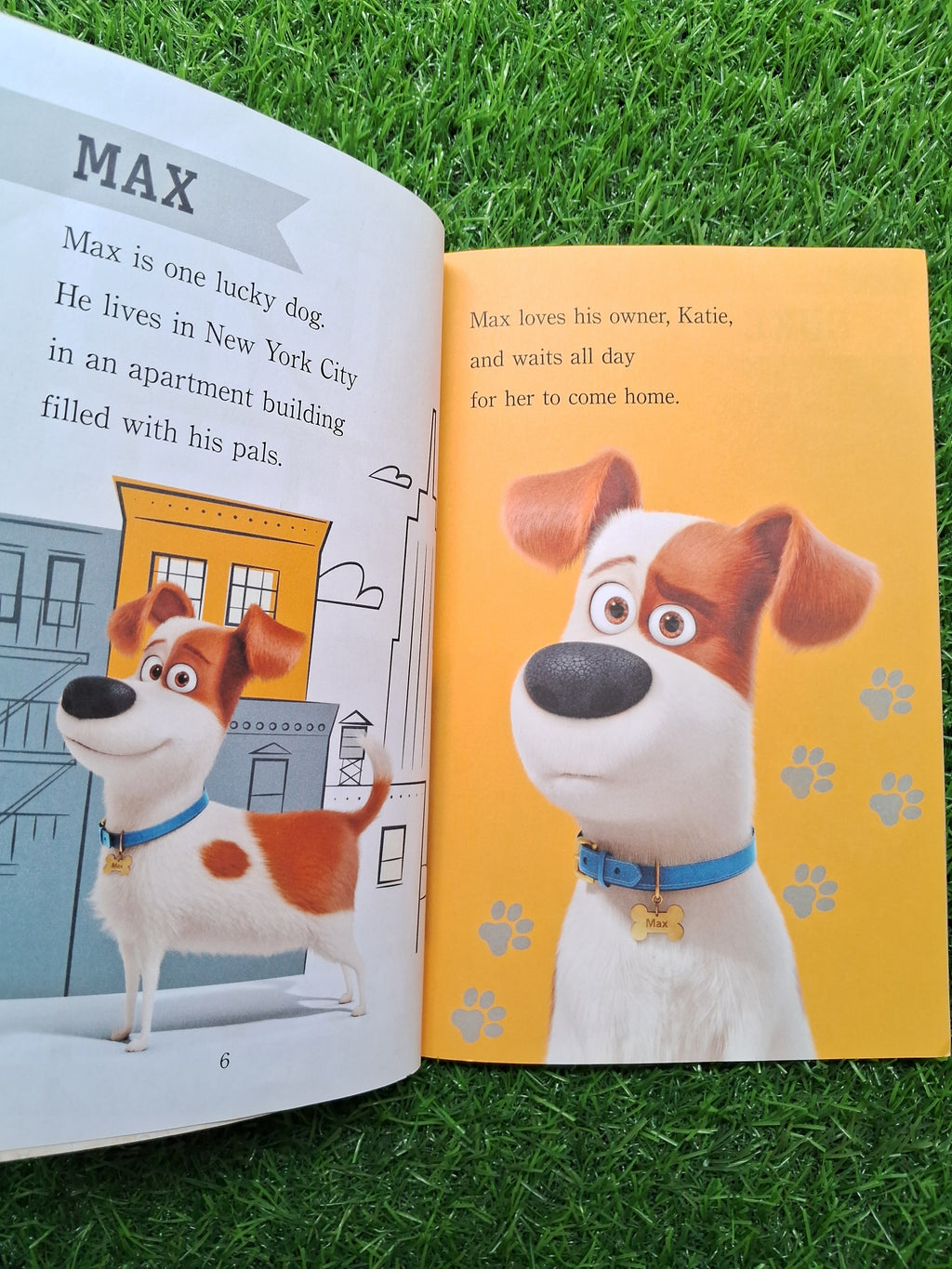 Meets the pets -  Very Good Condition Paperback