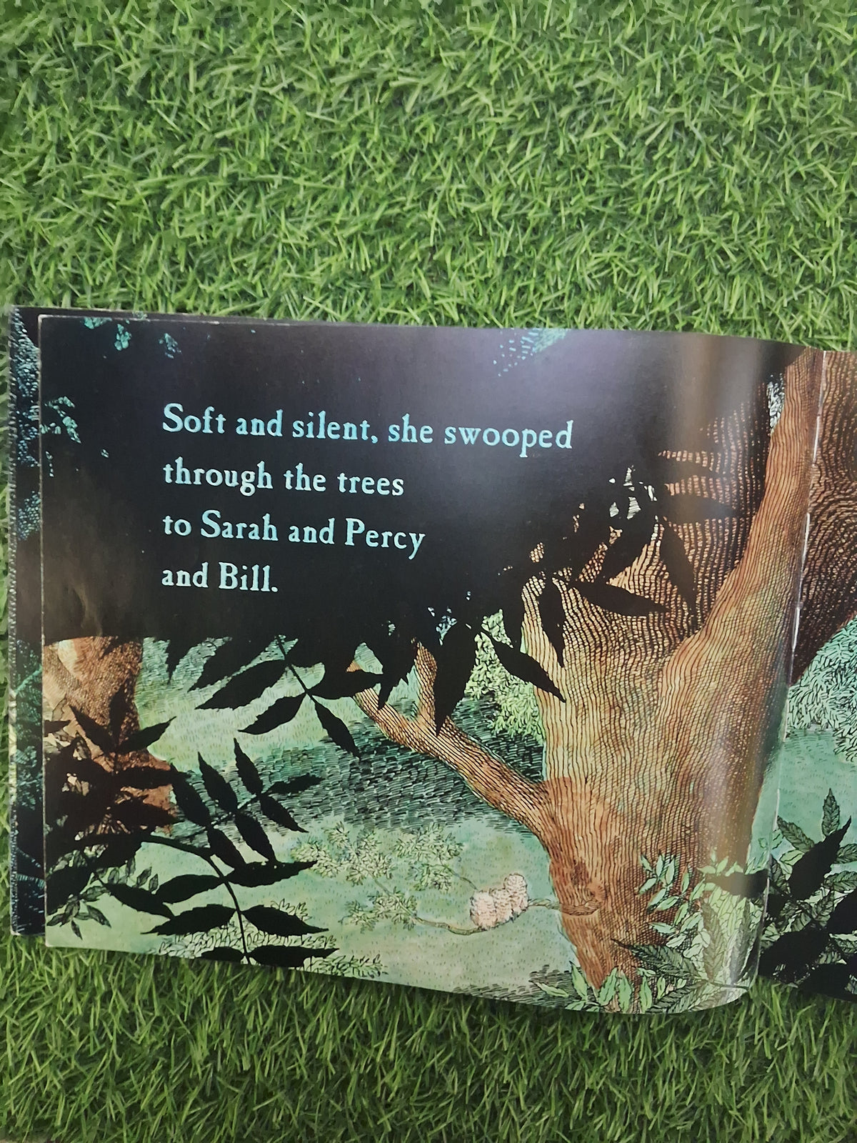 WALKER BOOKS - OWL BABIES - Good Condition Paperback