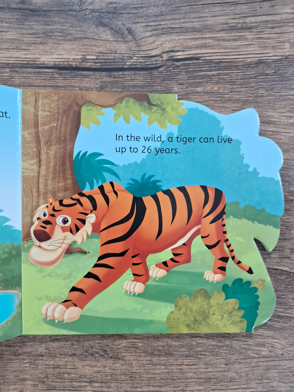 Tiger - Shaped Board Book