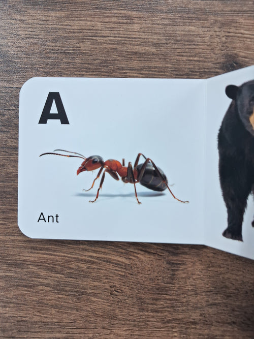 A To Z Upper Case - Board Book