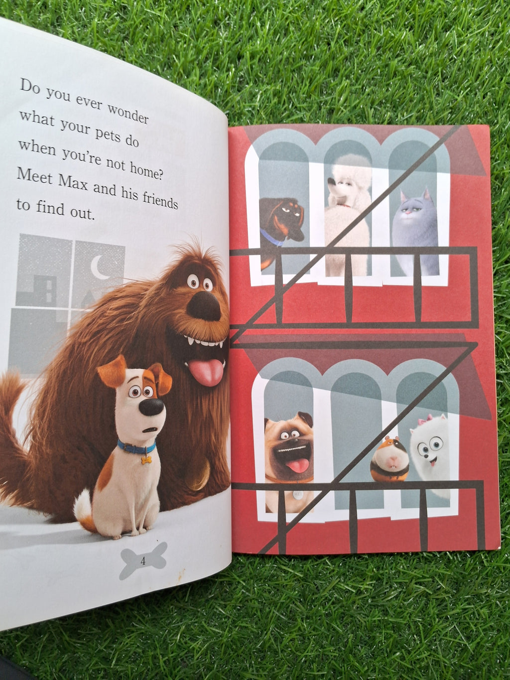 Meets the pets -  Very Good Condition Paperback