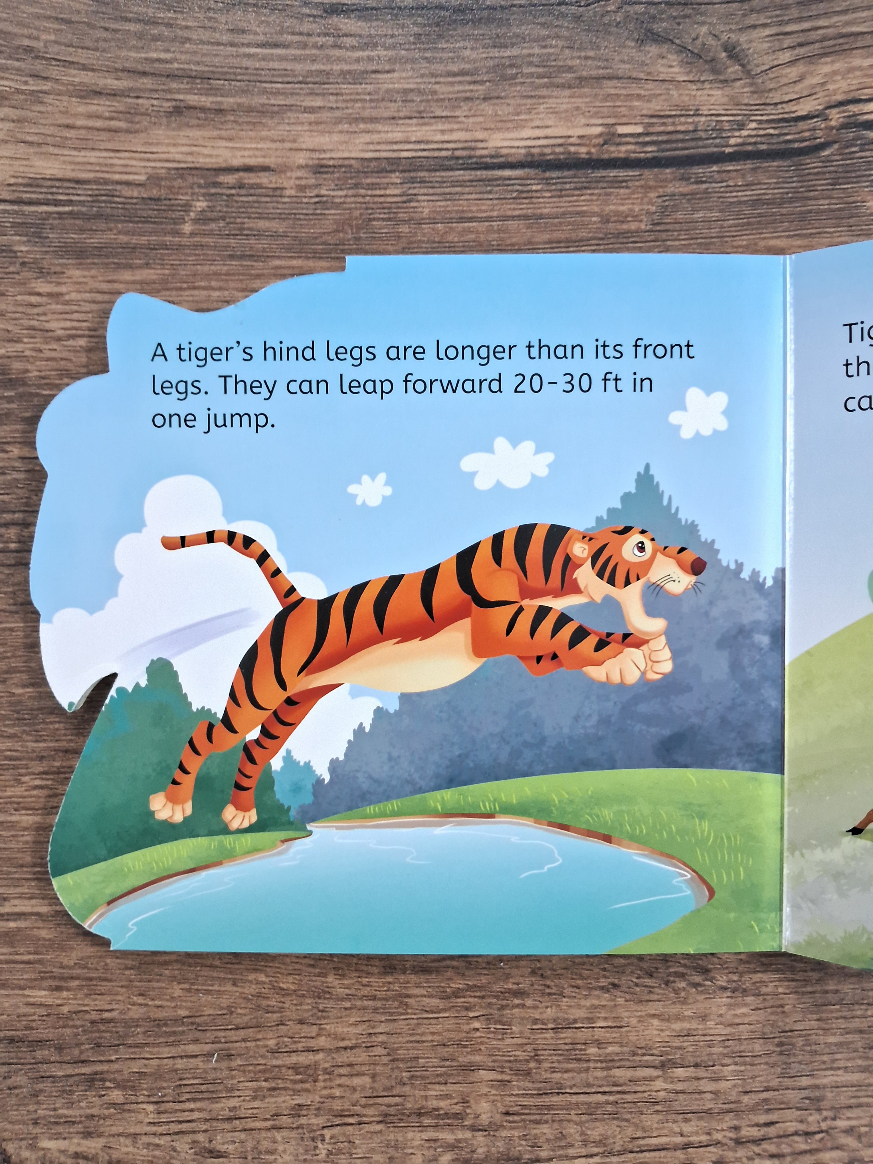 Tiger - Shaped Board Book
