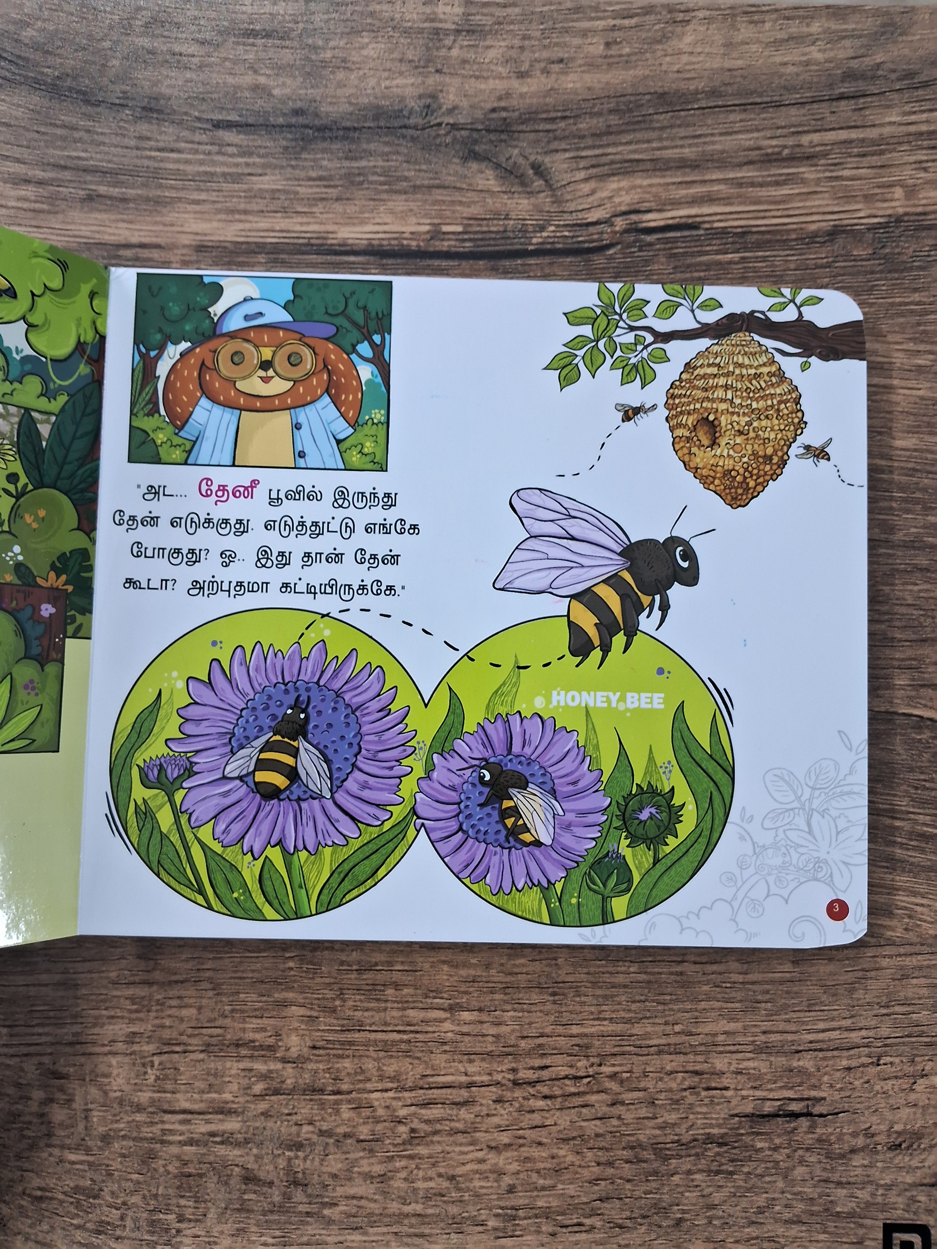 Adengapa Evalavu Poochigal - Tamil Board Book - அடேங்கப்பா! எவ்வளவு பூச்சிகள்!