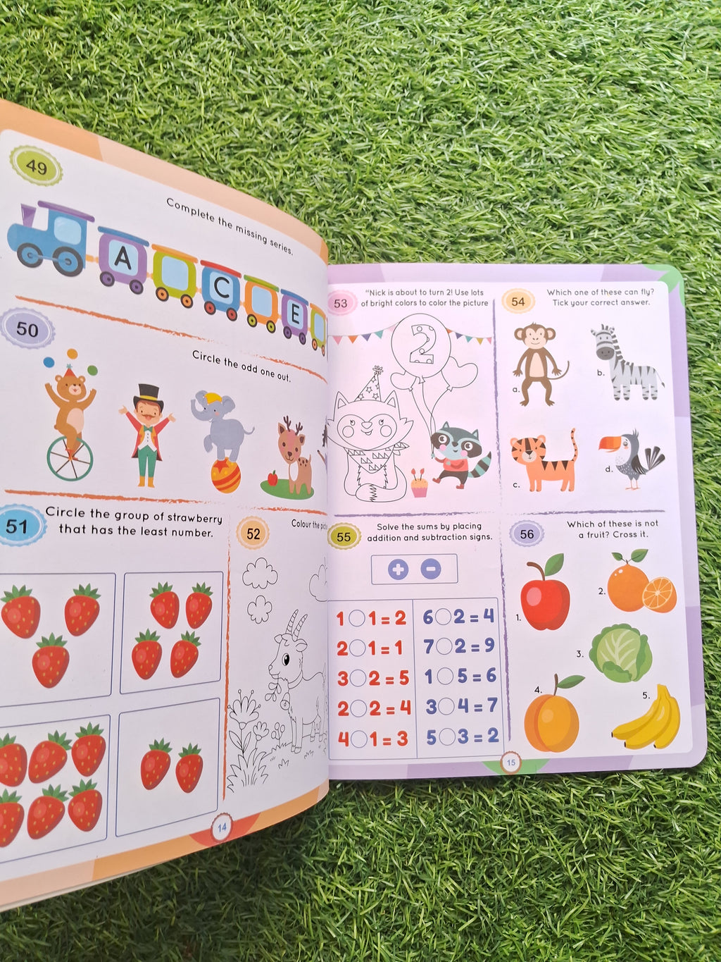 Brain Booster Activity Age 4+