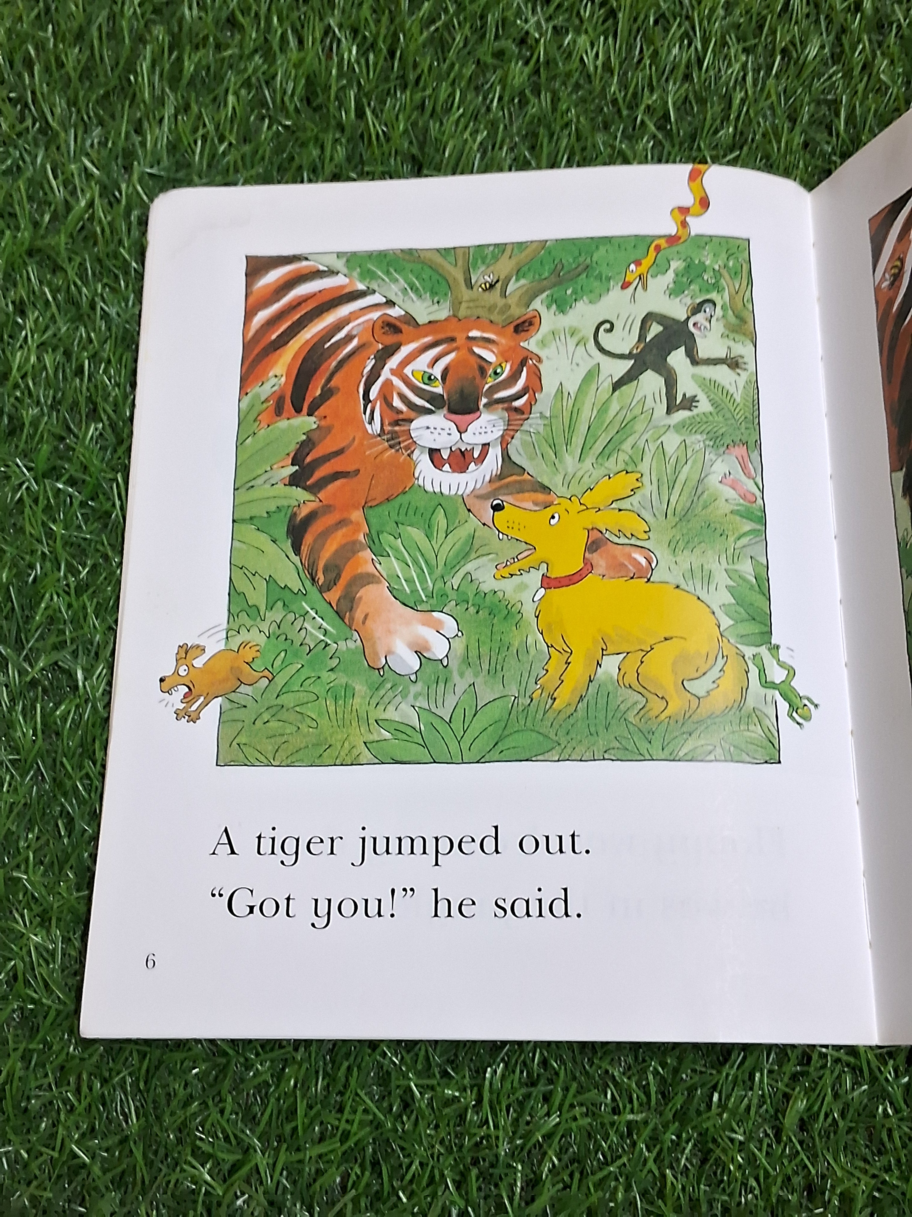 Read at Home - I can trick a Tiger -  Very Good Condition Paperback
