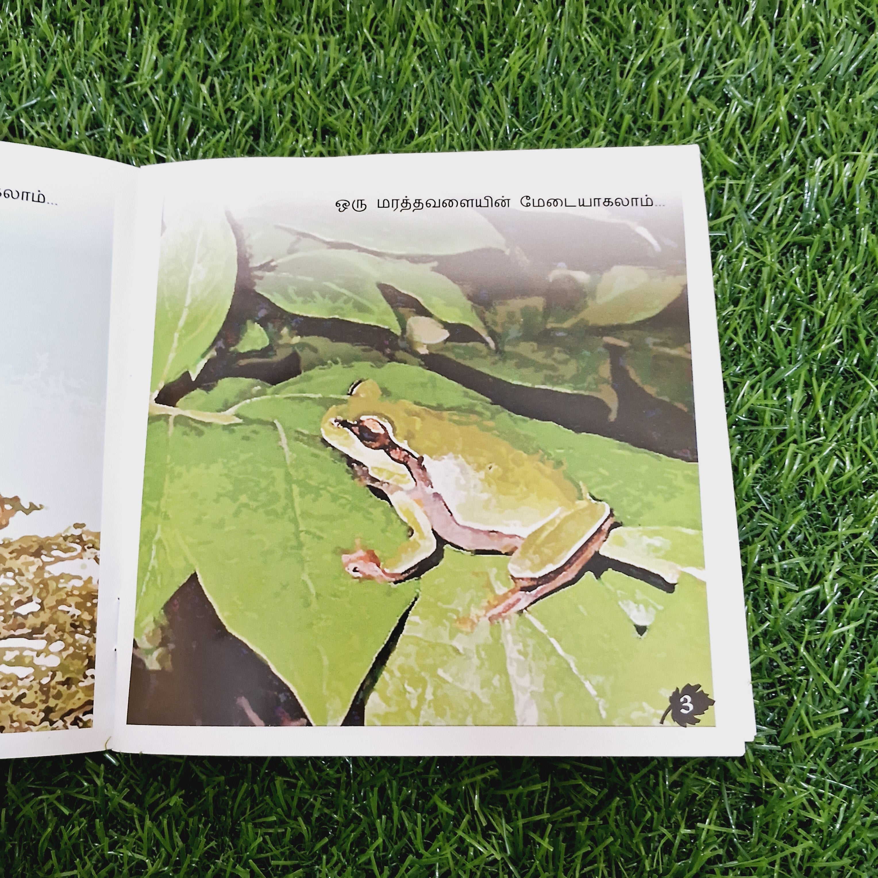 Is all about leaves - Average Condition Paperback