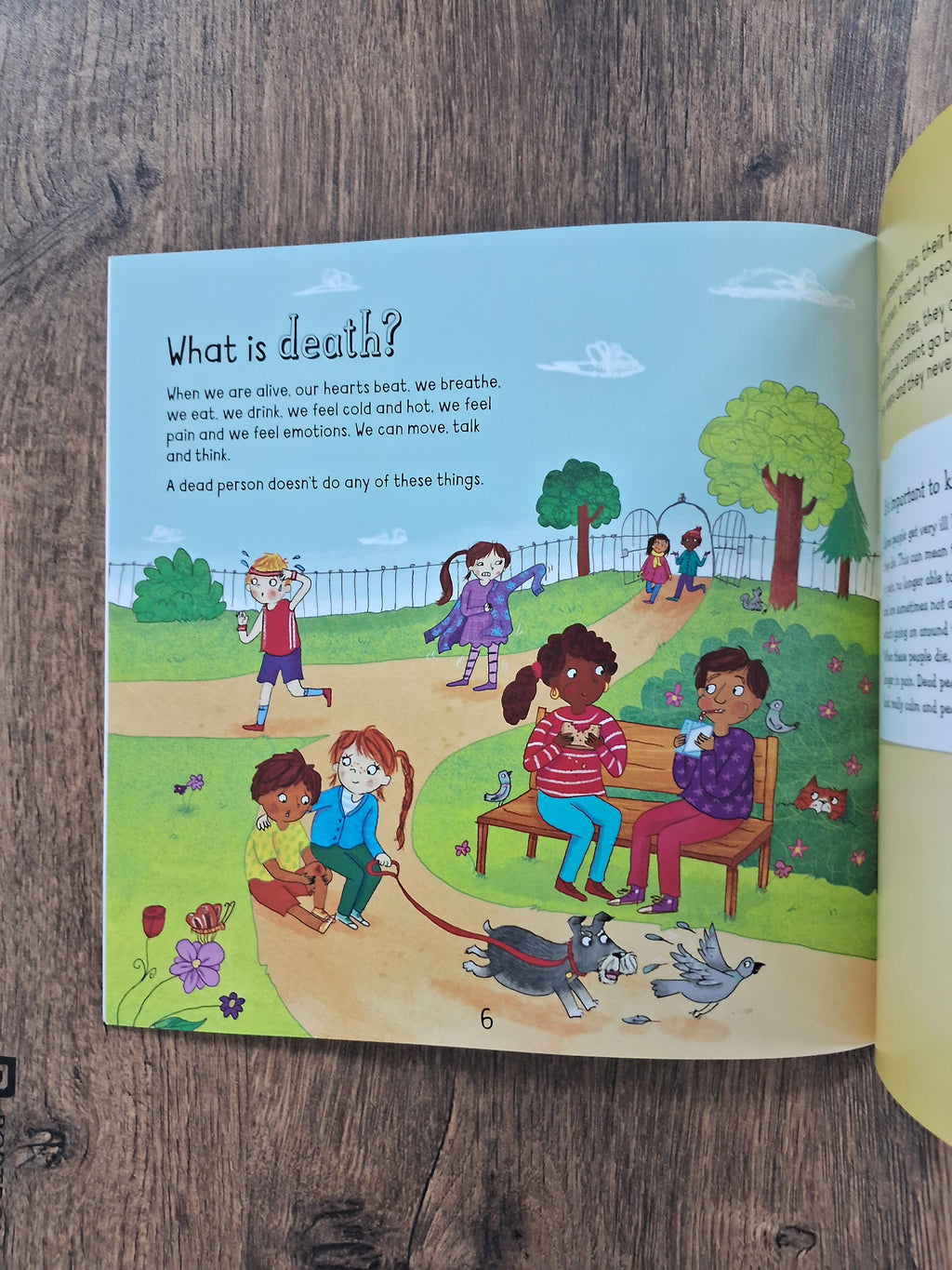 When Someone Dies - A Let's Talk Book