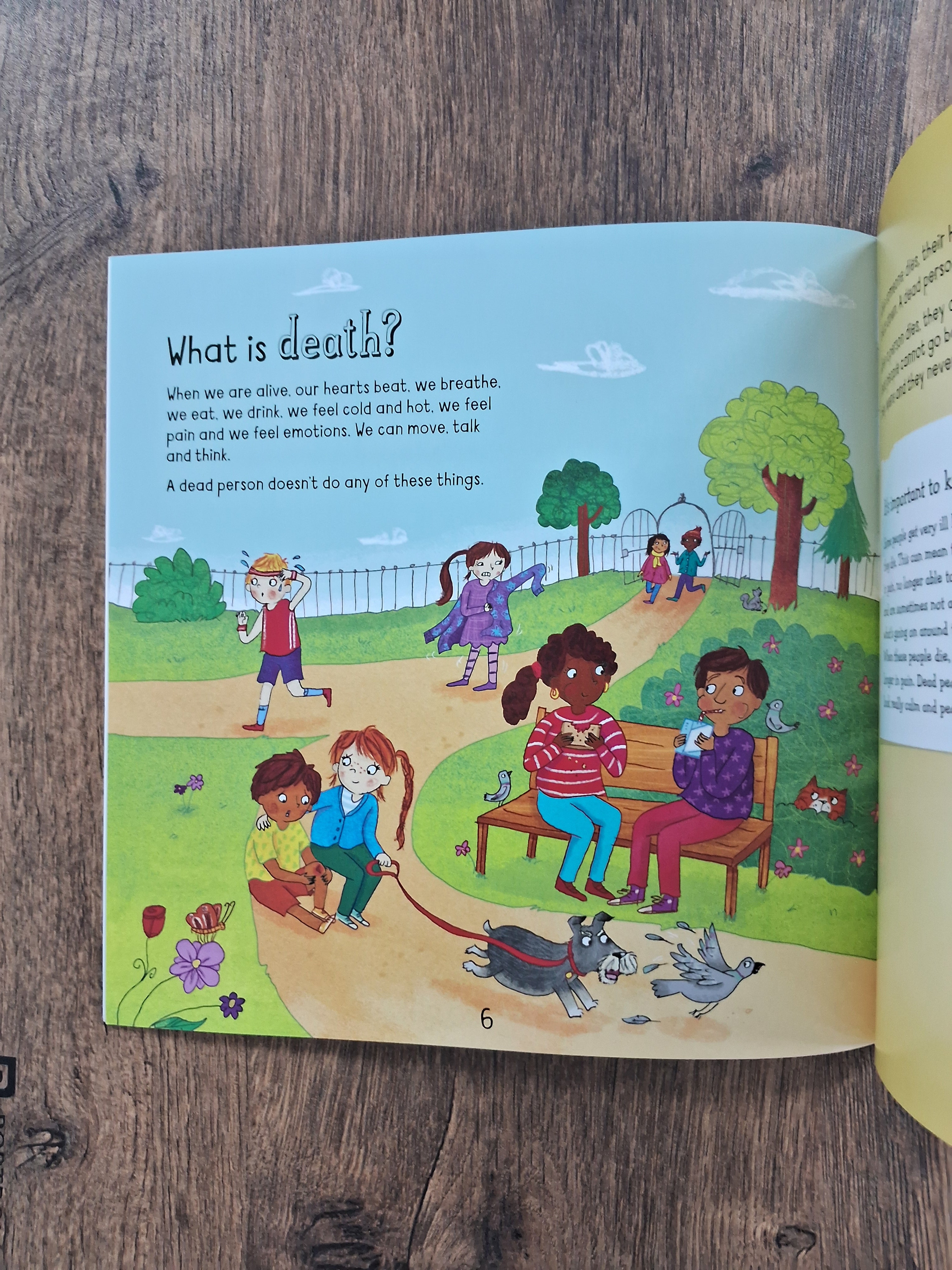 When Someone Dies - A Let's Talk Book